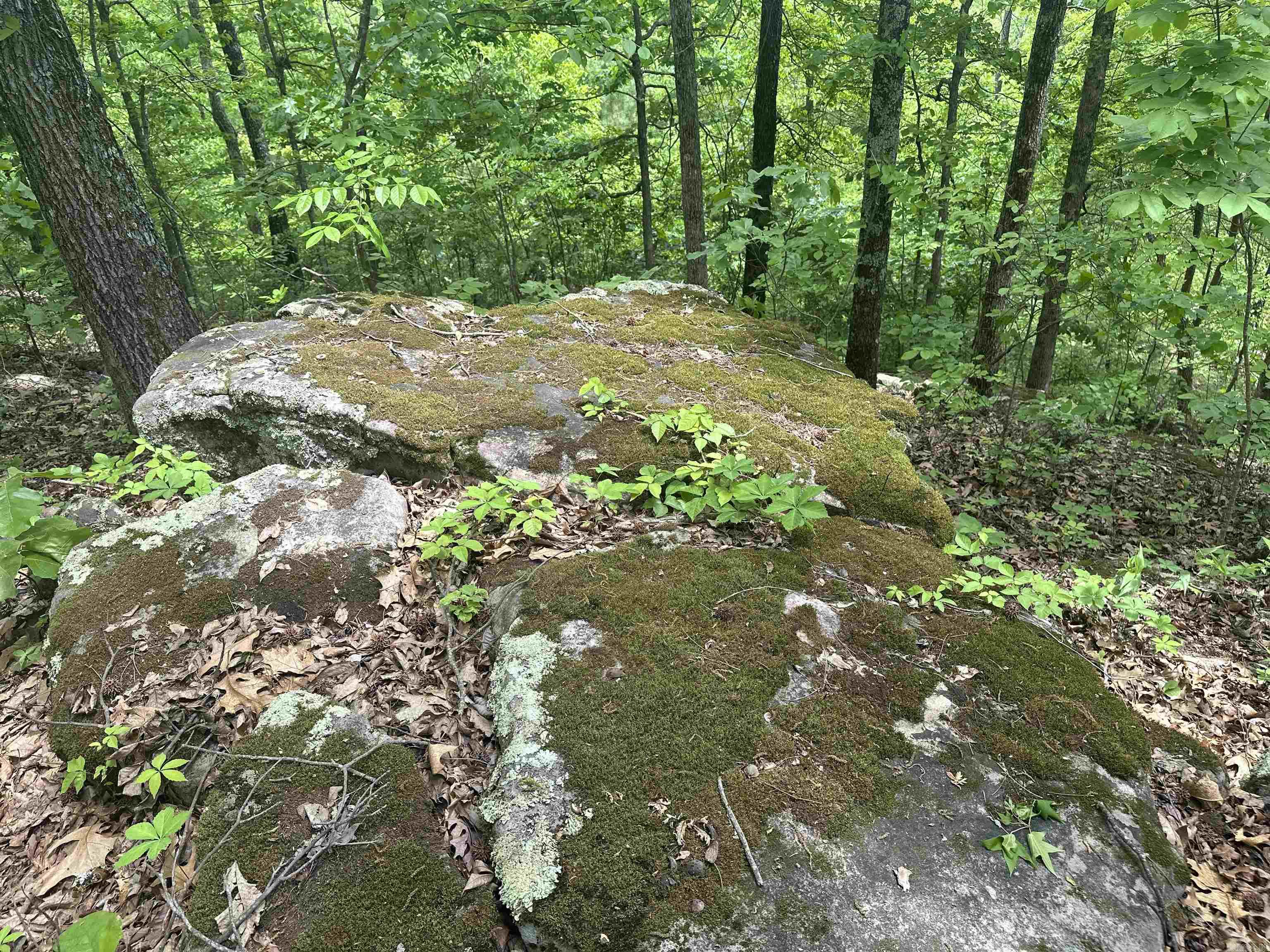 000 Holly Mtn Rd  Clinton, AR
