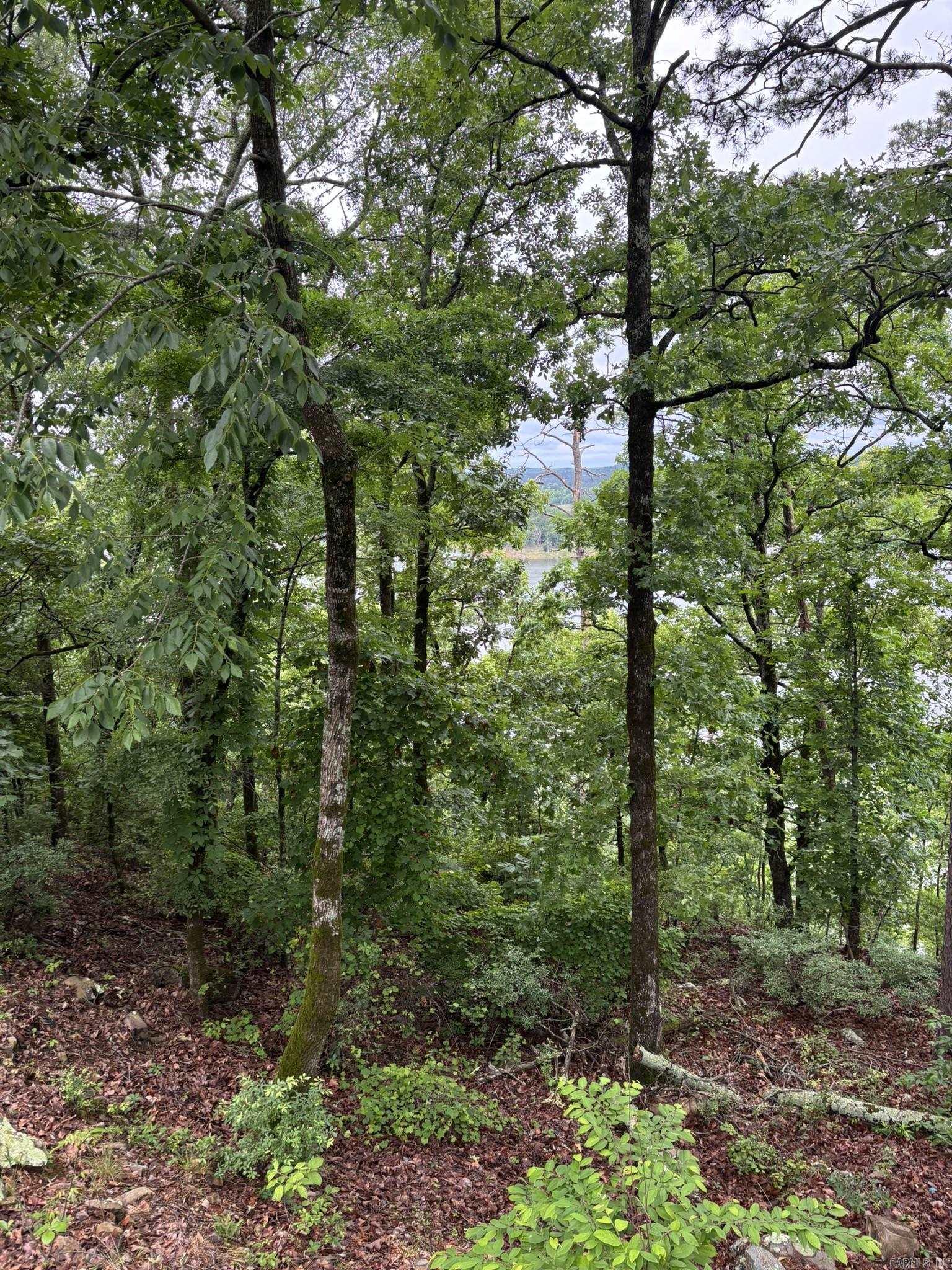 252 Mountain Mist  Dierks, AR