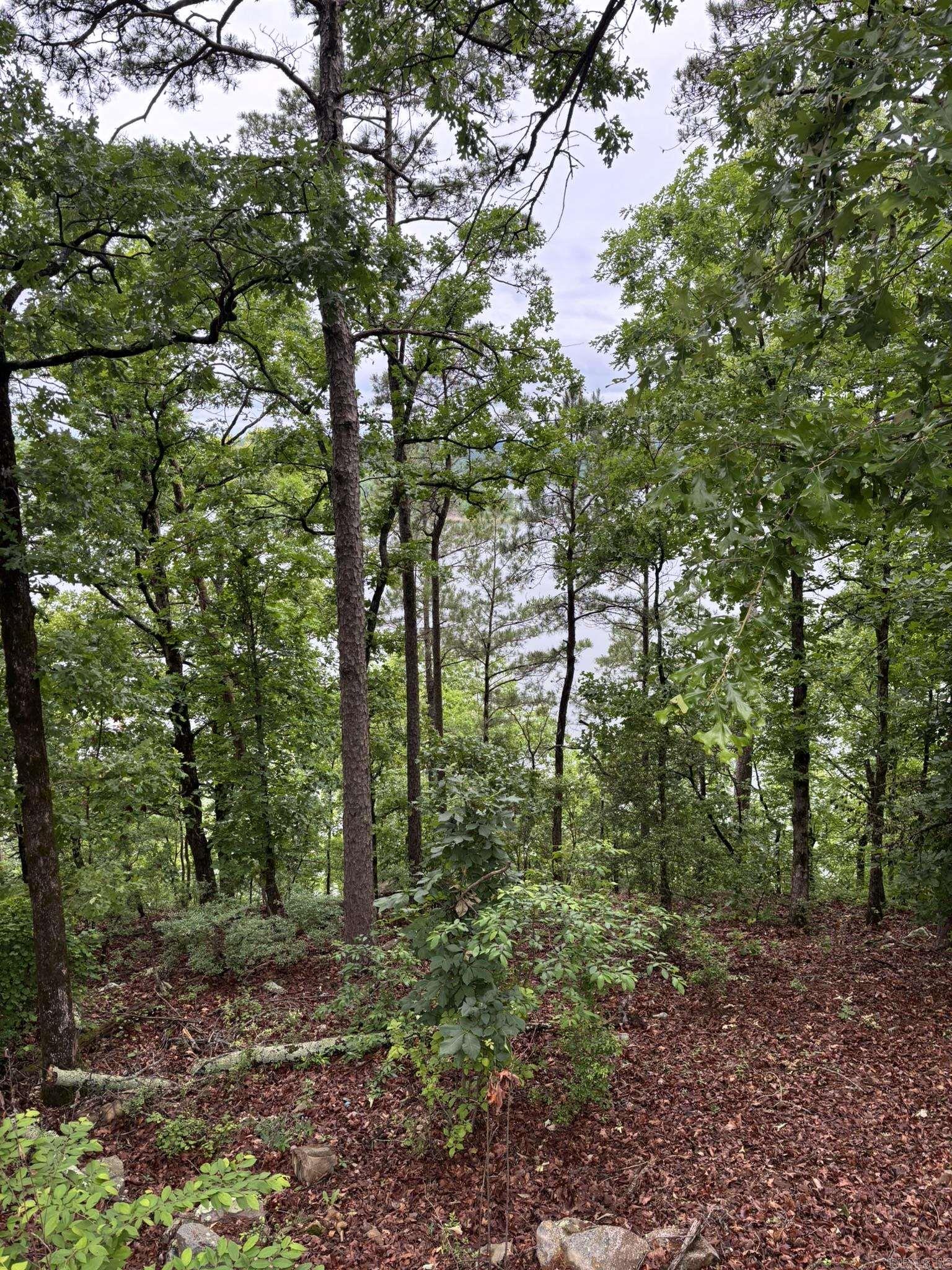 252 Mountain Mist  Dierks, AR