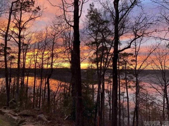 252 Mountain Mist Drive Dierks, AR 71833