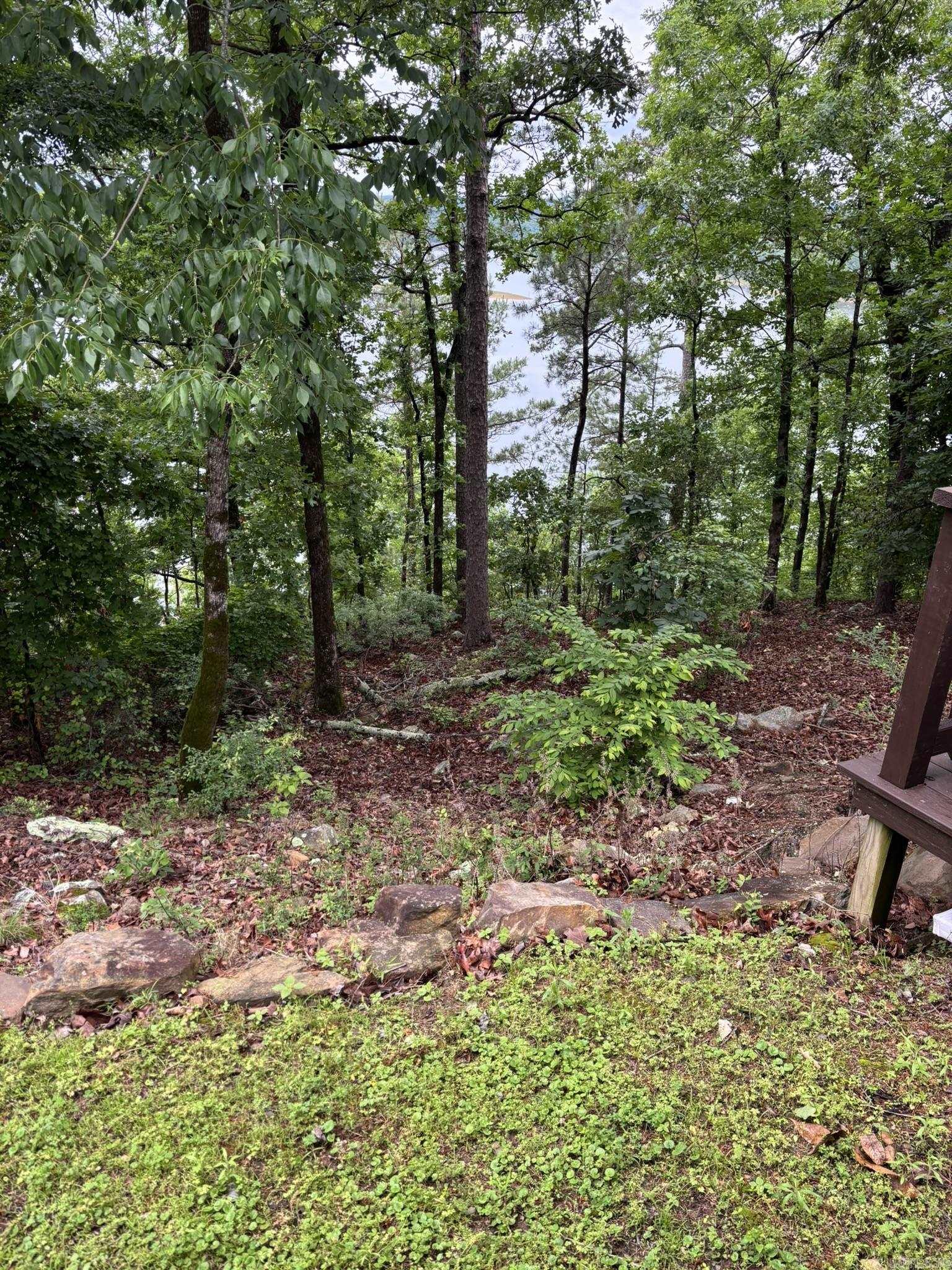 252 Mountain Mist  Dierks, AR