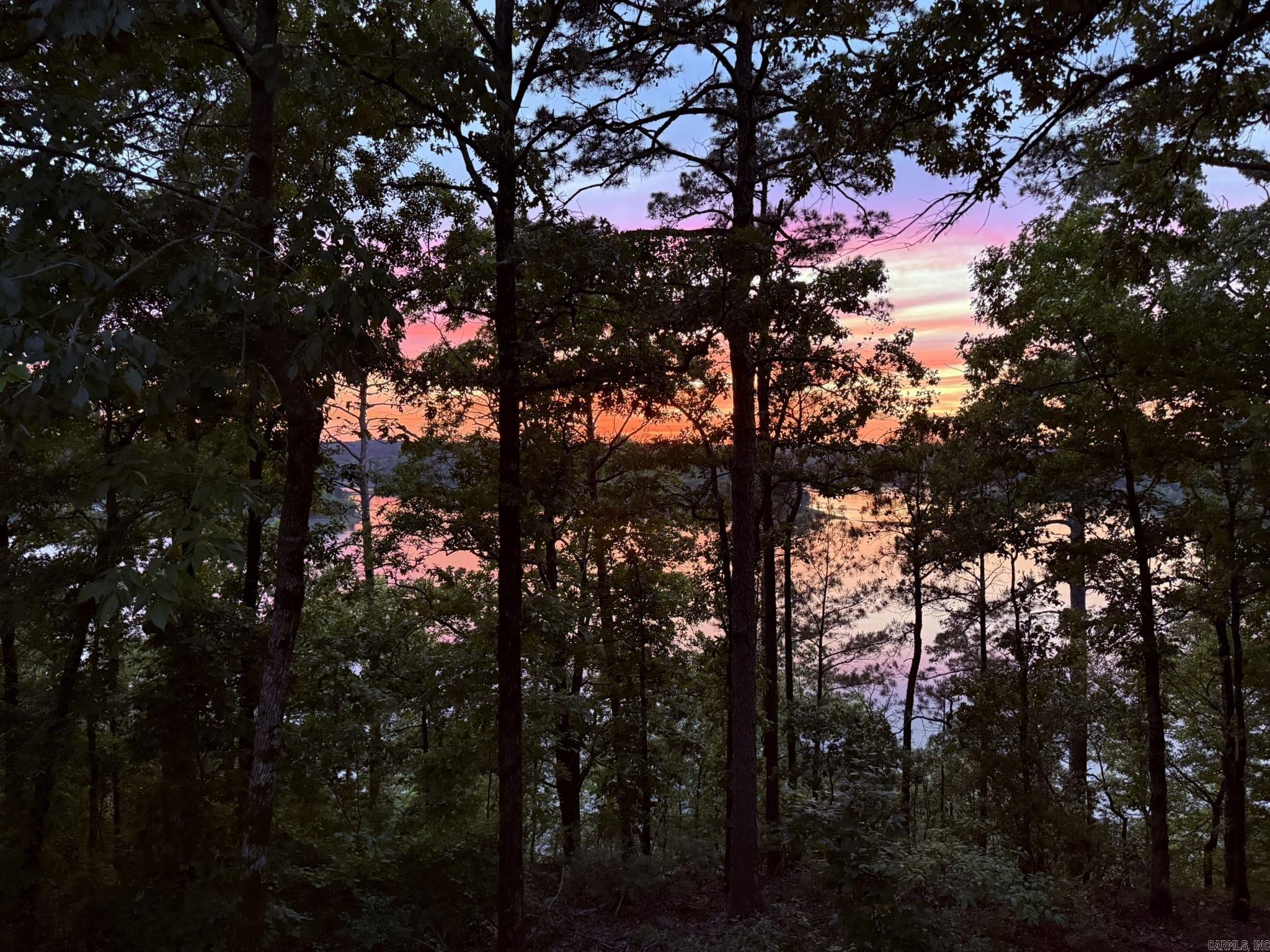 252 Mountain Mist Drive Dierks, AR 71833