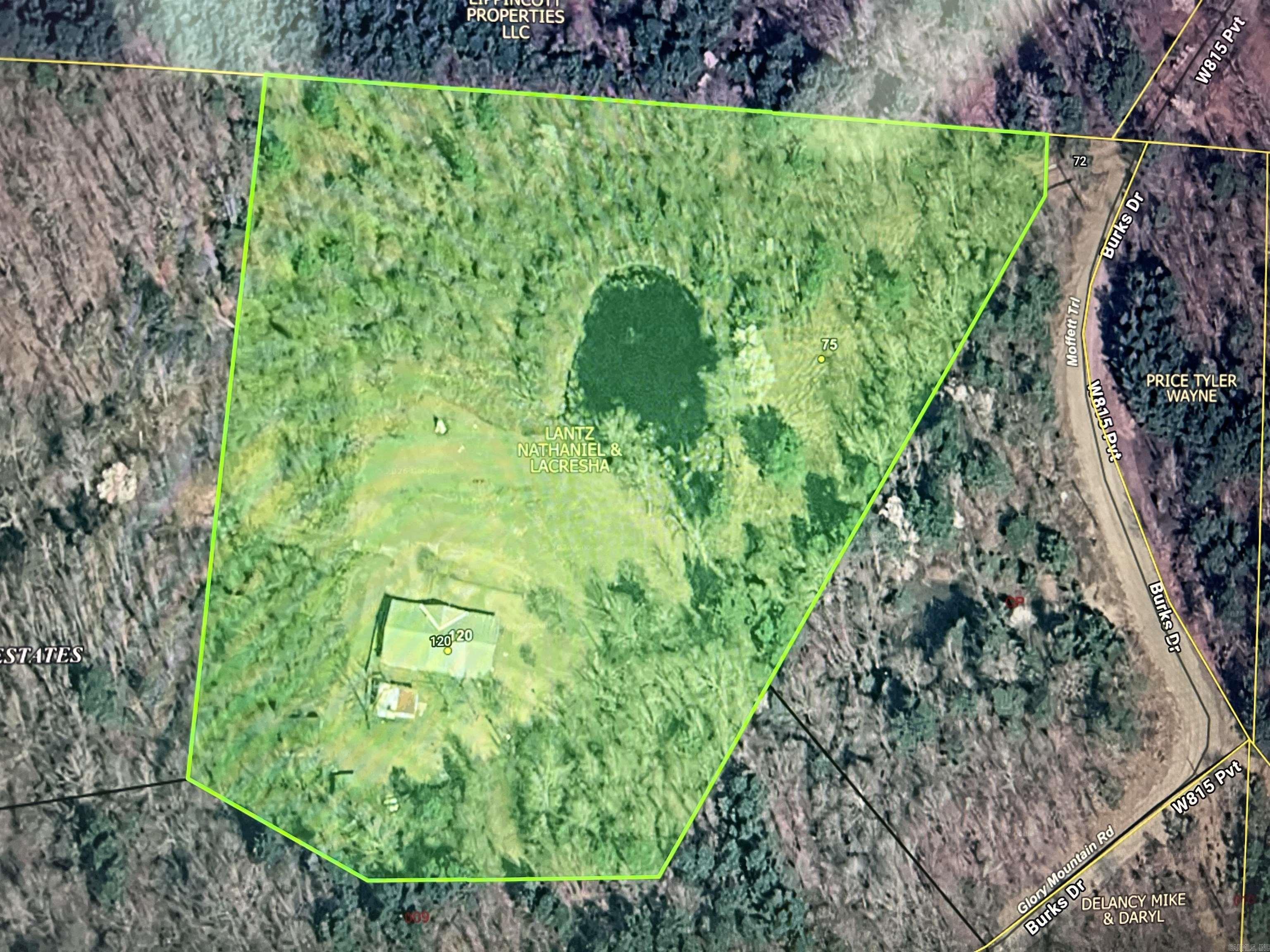 120 W Moffett Trail Caddo Gap, AR 71935