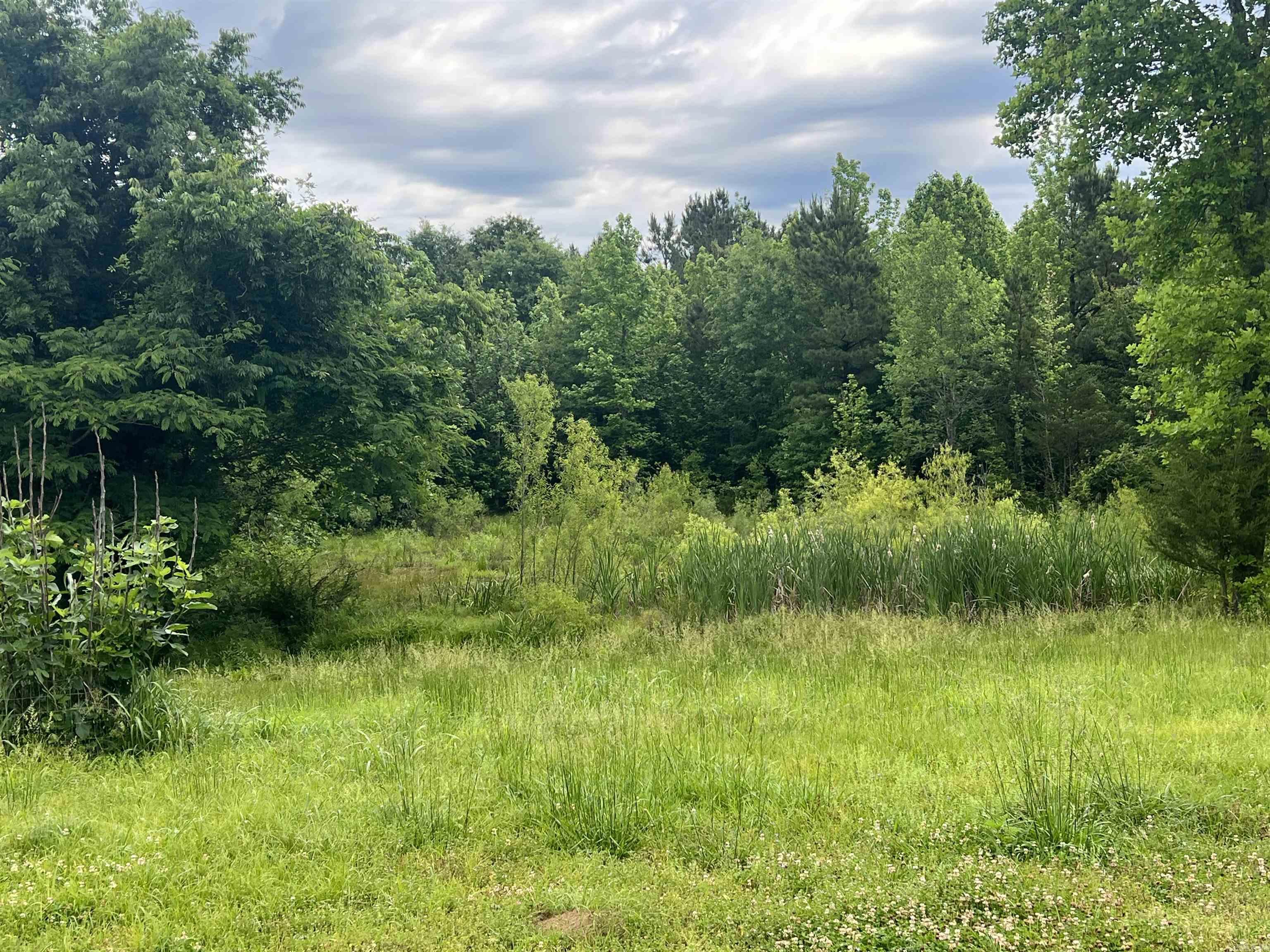 120 W Moffett Trail Caddo Gap, AR 71935