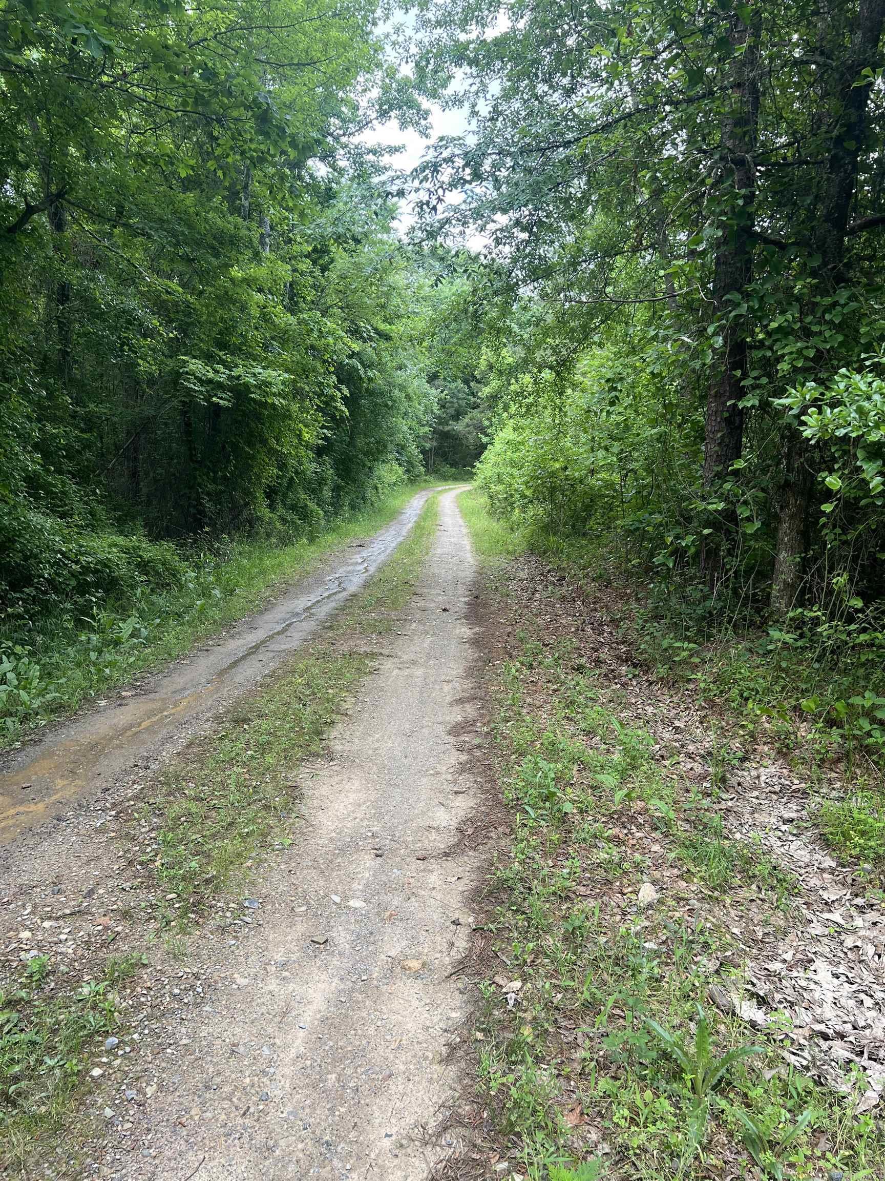 120 W Moffett Trail Caddo Gap, AR 71935