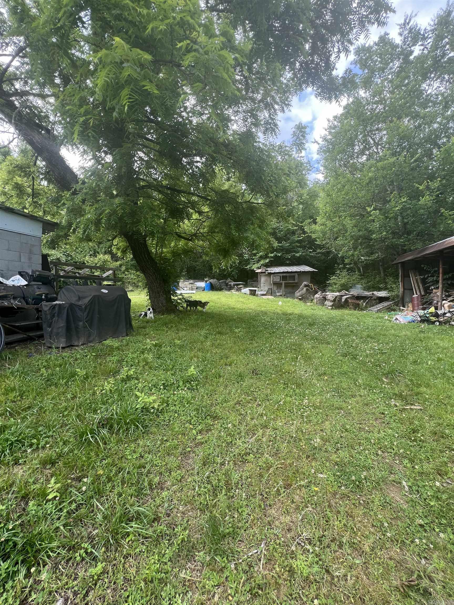 120 W Moffett Trail Caddo Gap, AR 71935