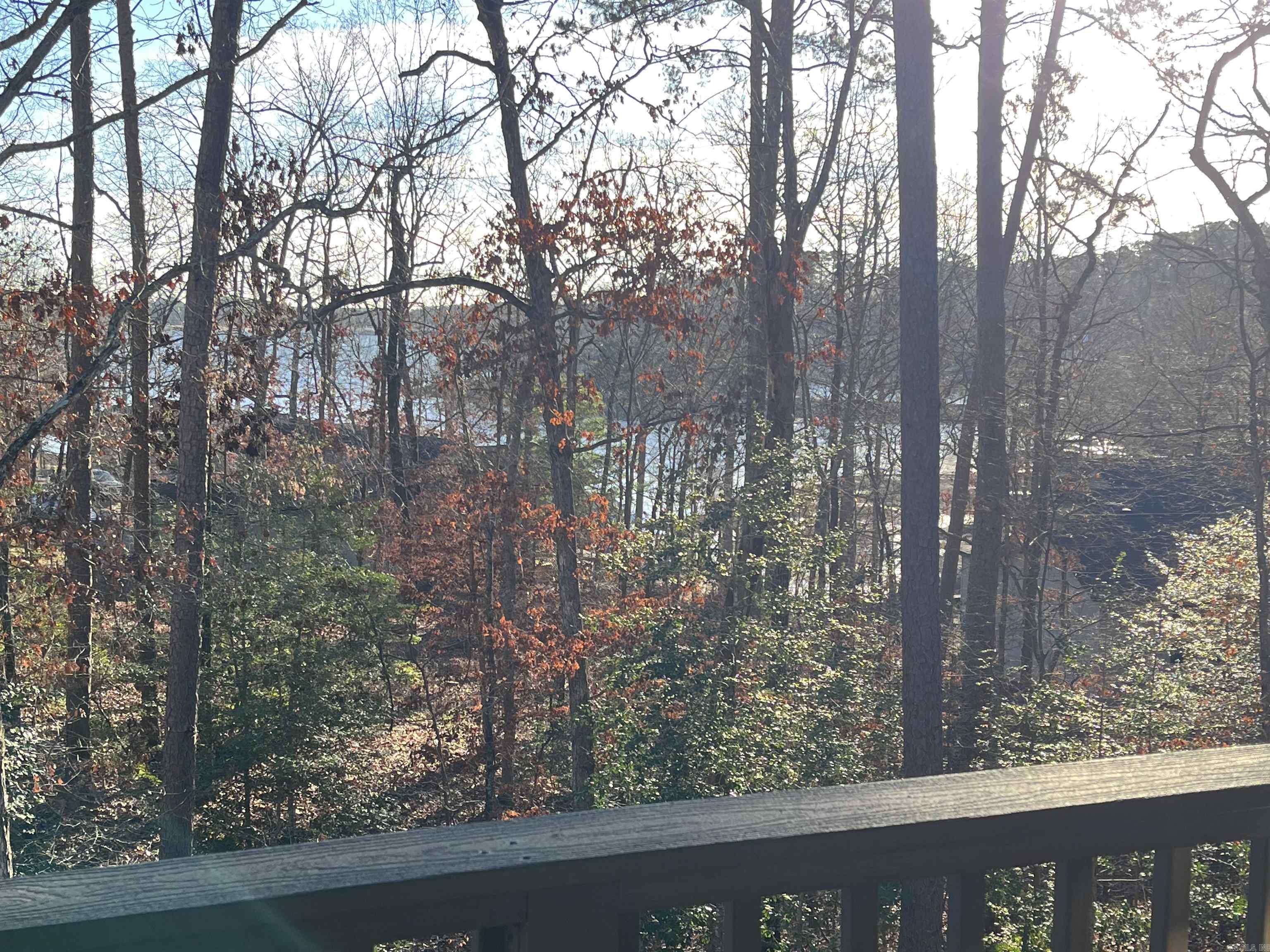1 Narvaez  Hot Springs Village, AR