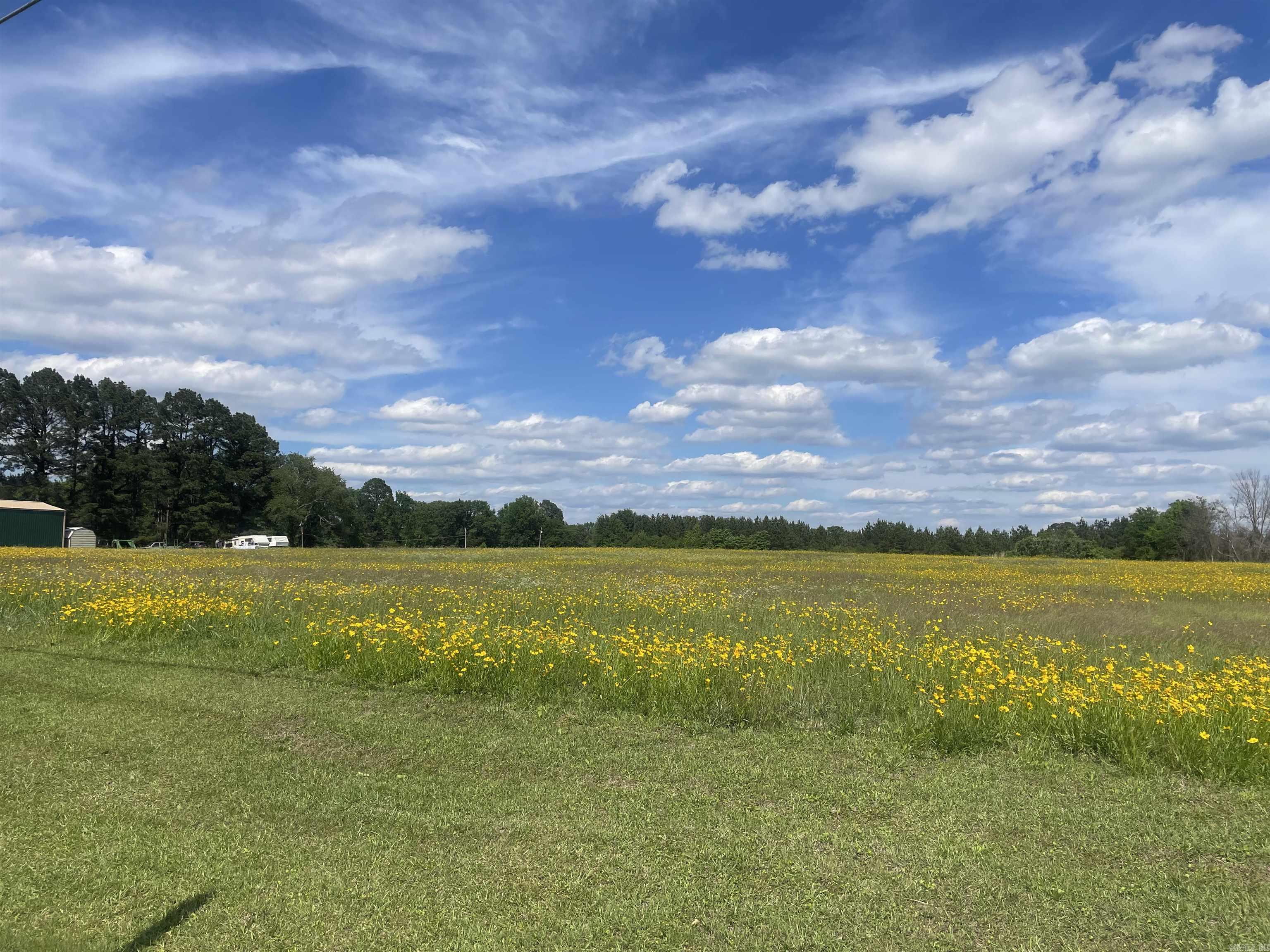 000 Highway 291  Prattsville, AR