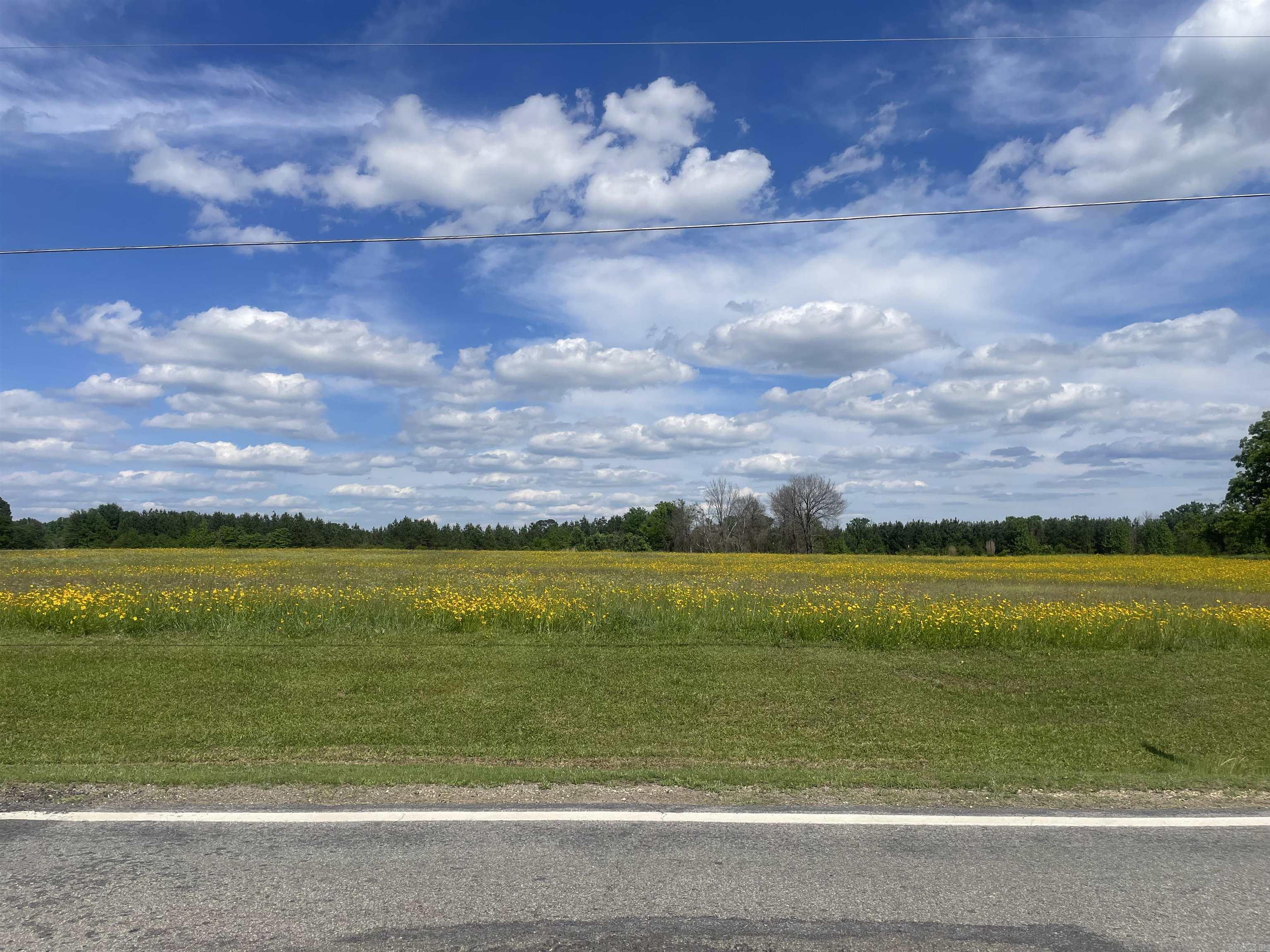 000 Highway 291  Prattsville, AR