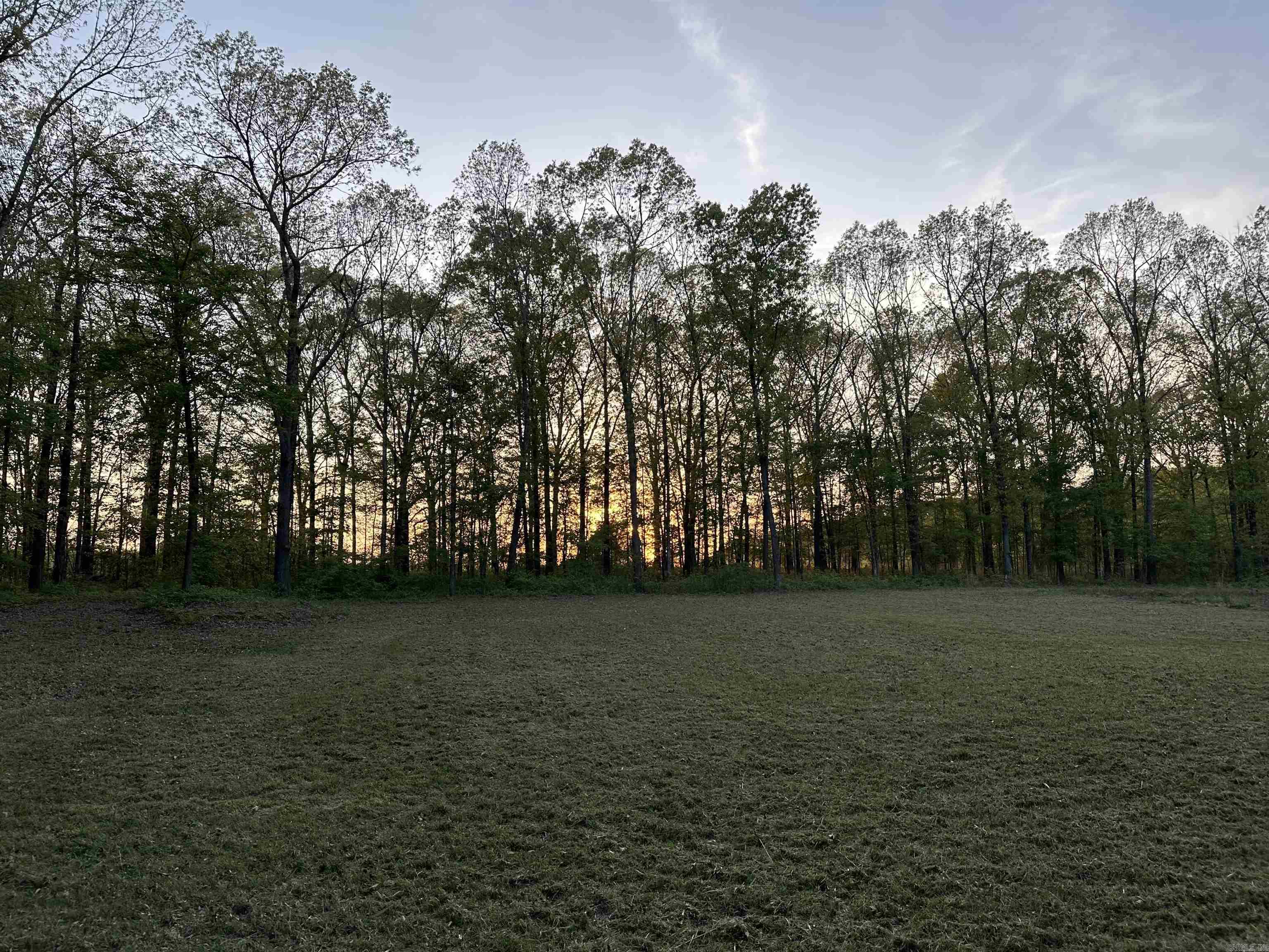 135 W Eden Park  Searcy, AR