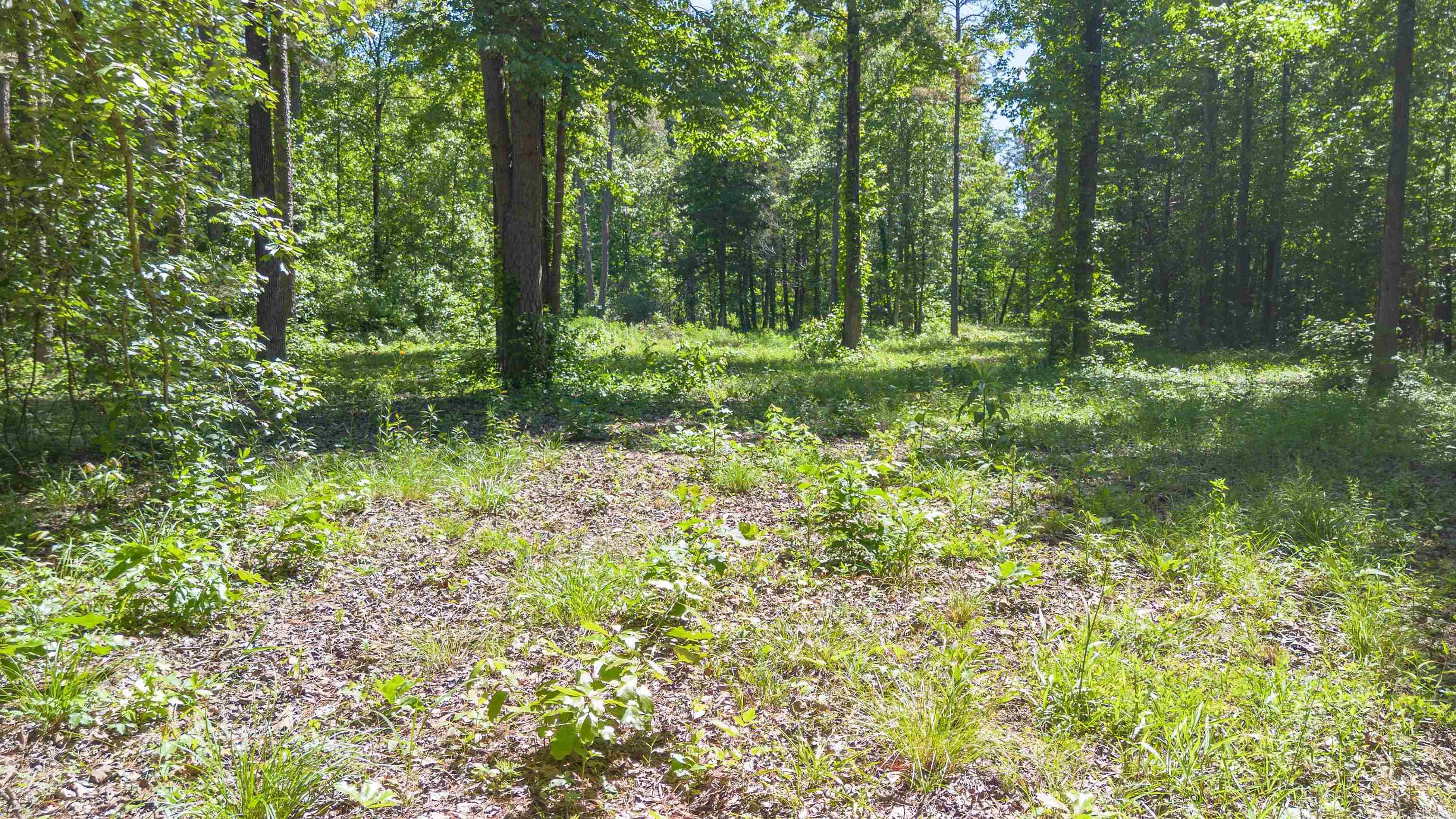 498 Resort  Higden, AR