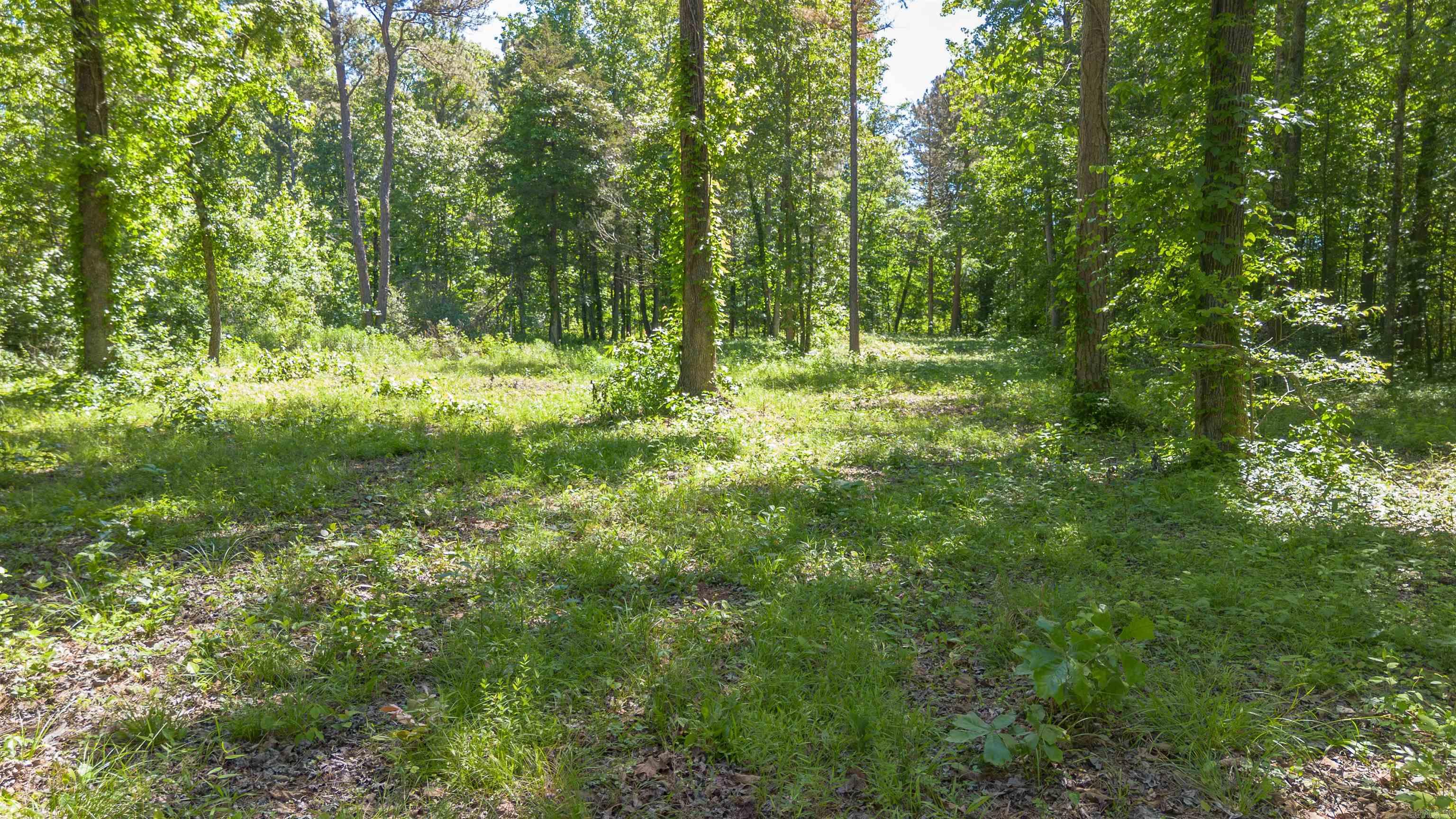 498 Resort  Higden, AR