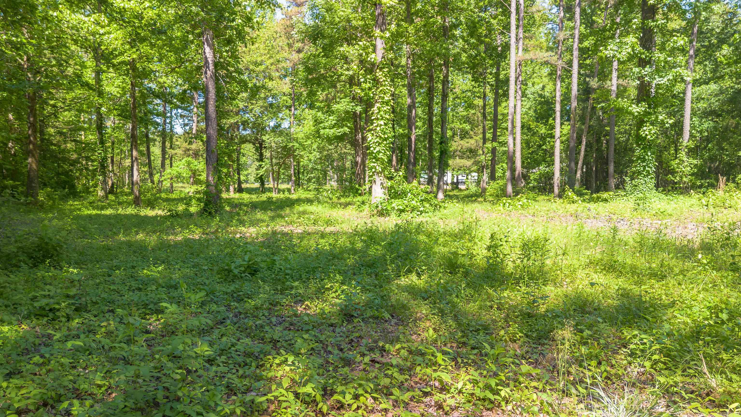 498 Resort  Higden, AR