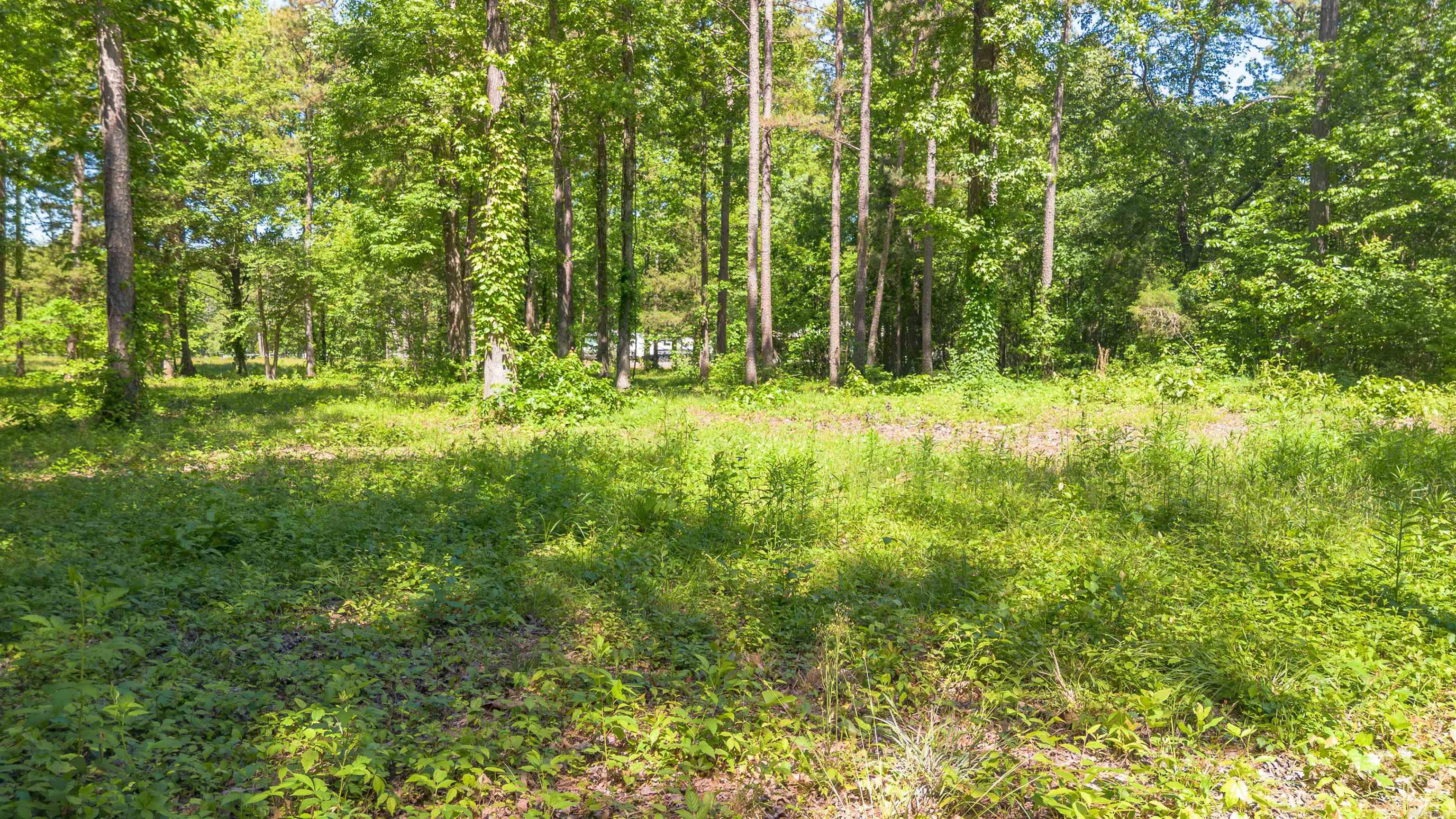 498 Resort  Higden, AR