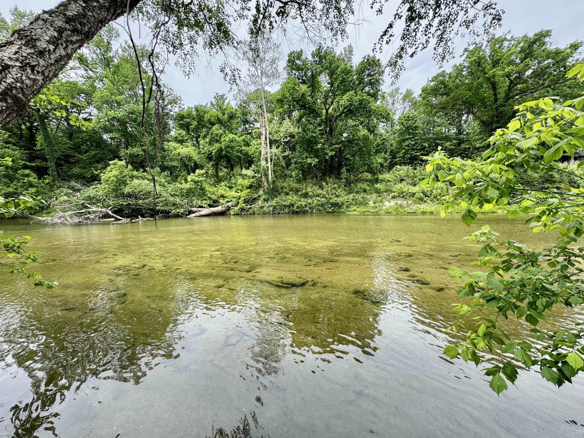 147 Virgies Loop  Calico Rock, AR