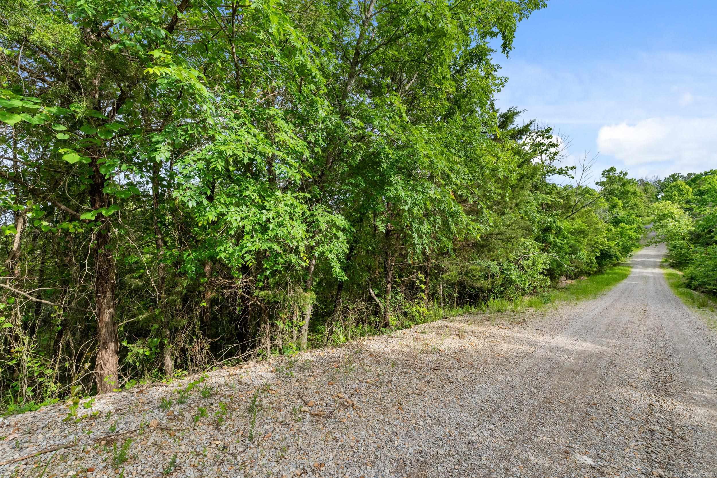 Lot 115 Greenhaven  Mountain Home, AR