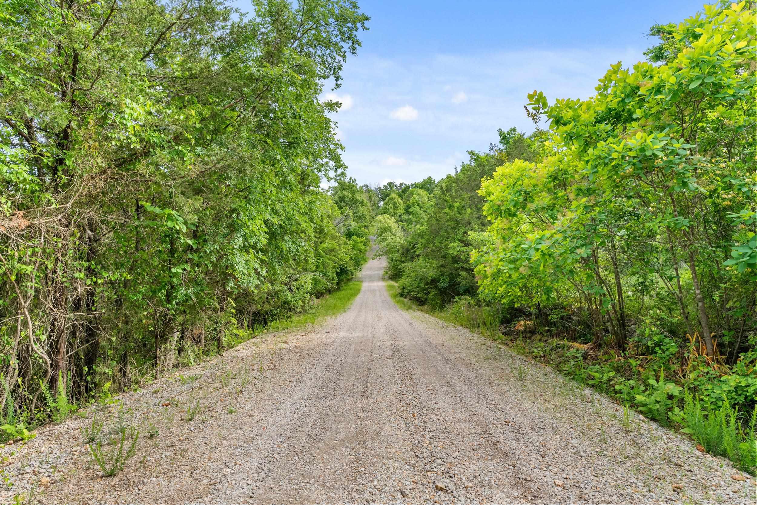 Lot 115 Greenhaven  Mountain Home, AR