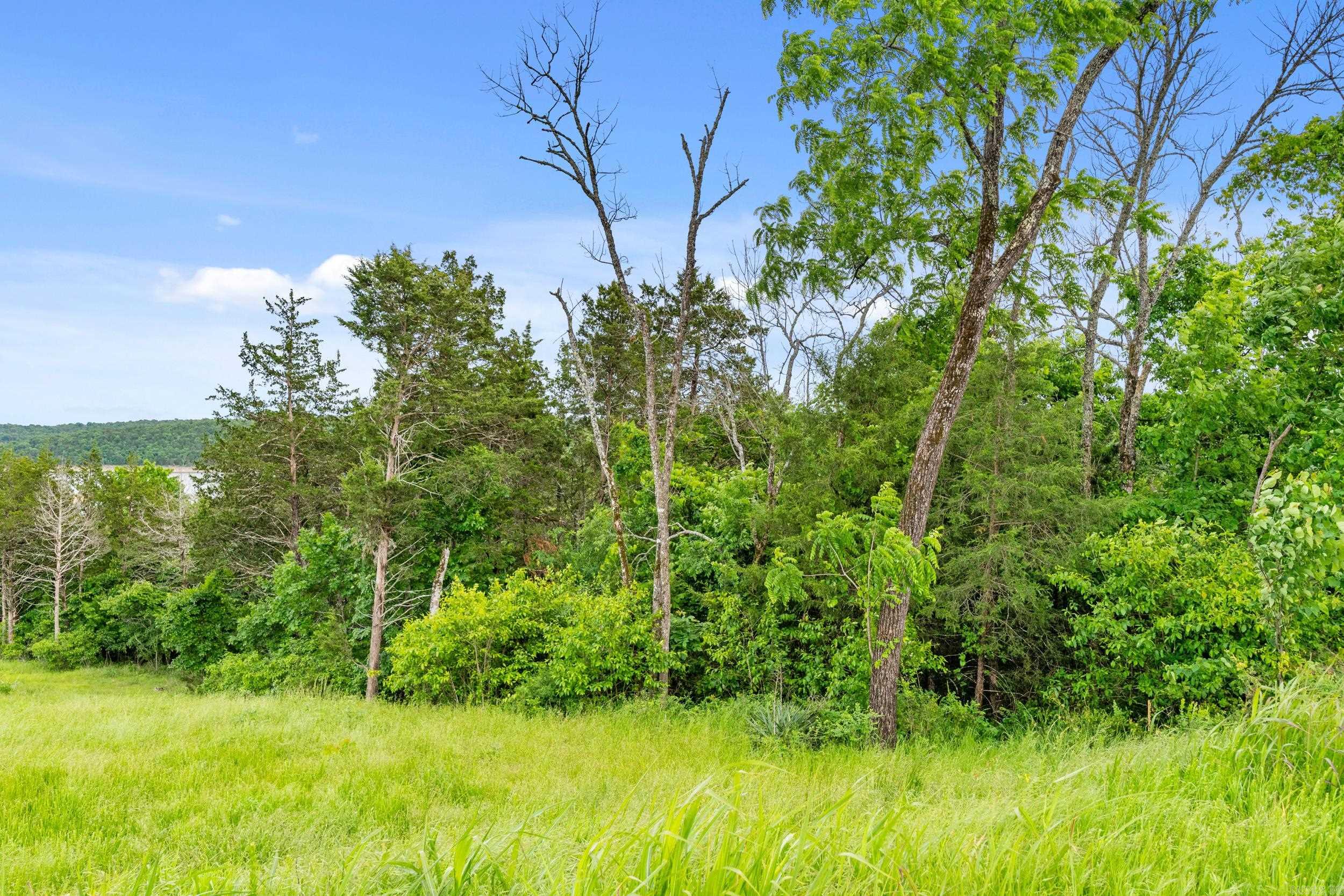 Lot 115 Greenhaven  Mountain Home, AR