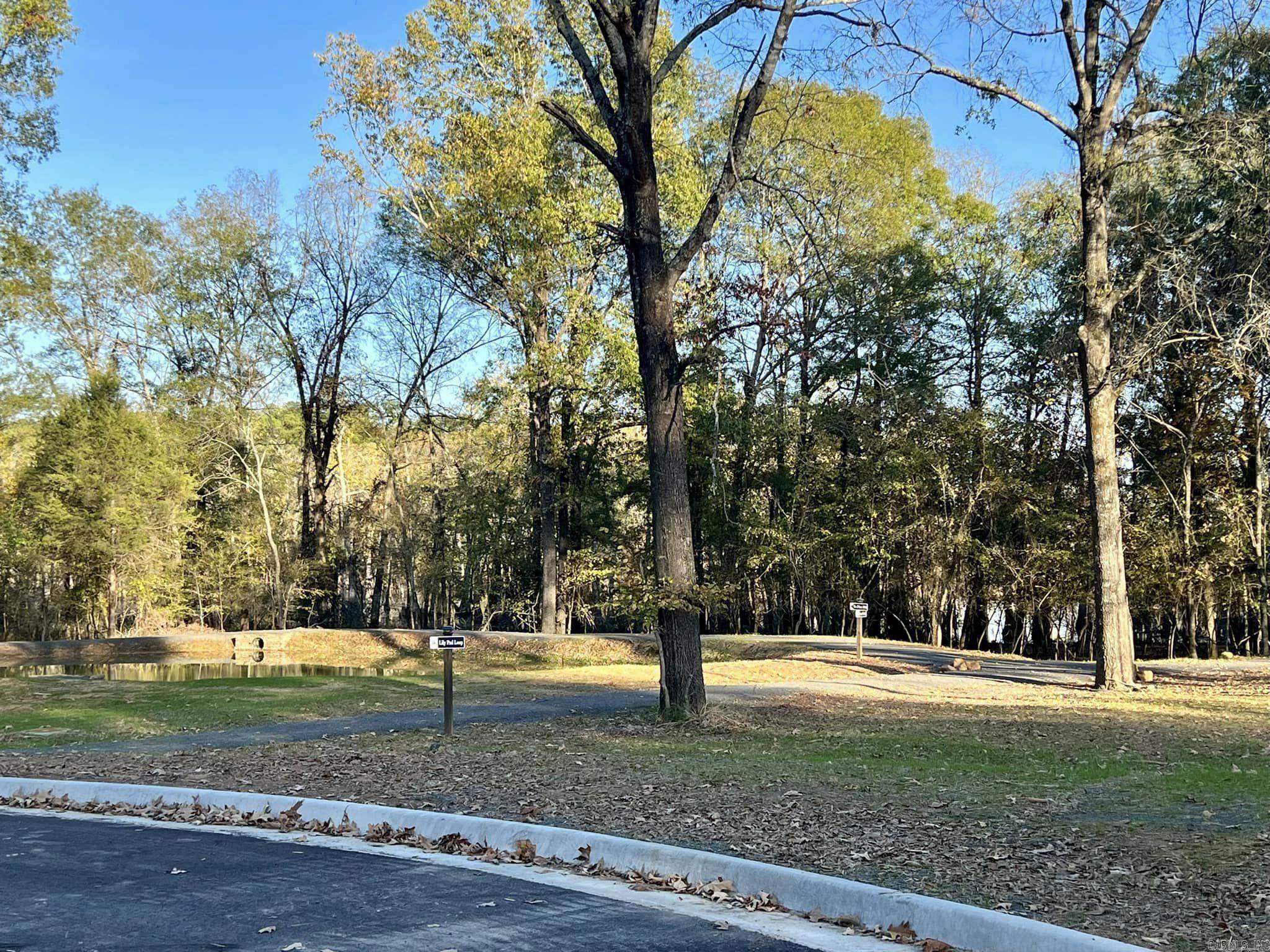 300 Shagbark Trail  Maumelle, AR
