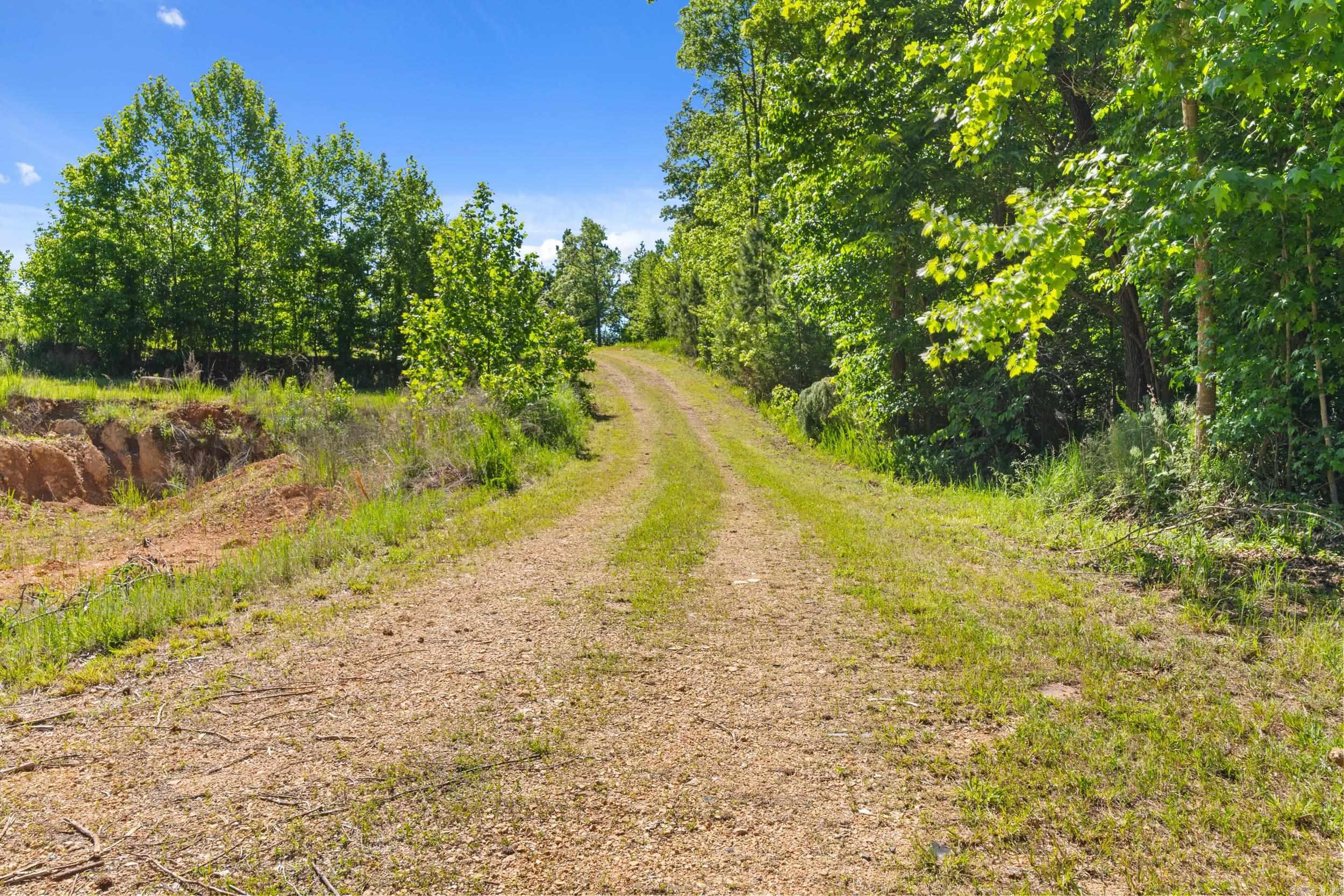 17950 E 14  Mountain View, AR