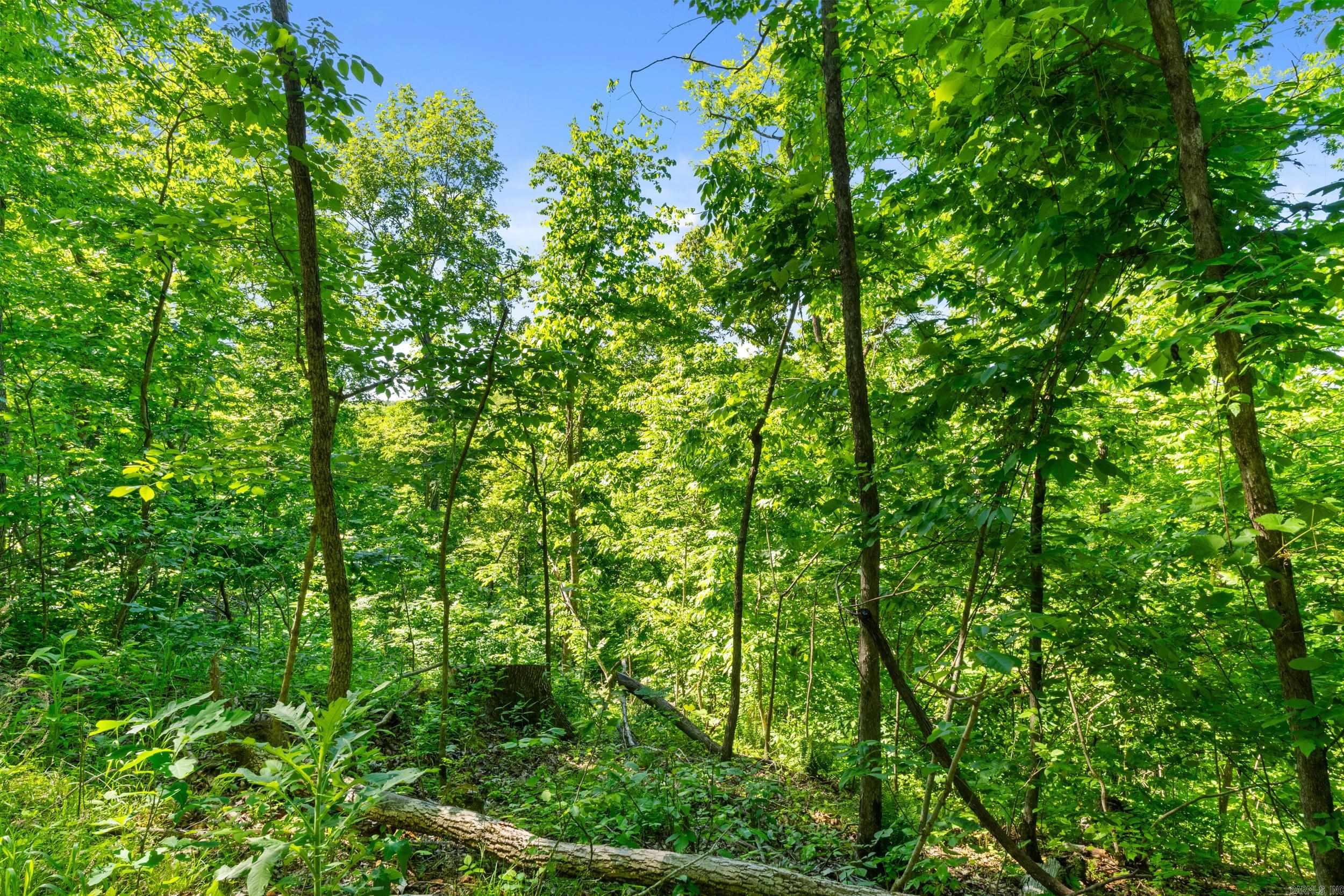 17950 E 14  Mountain View, AR