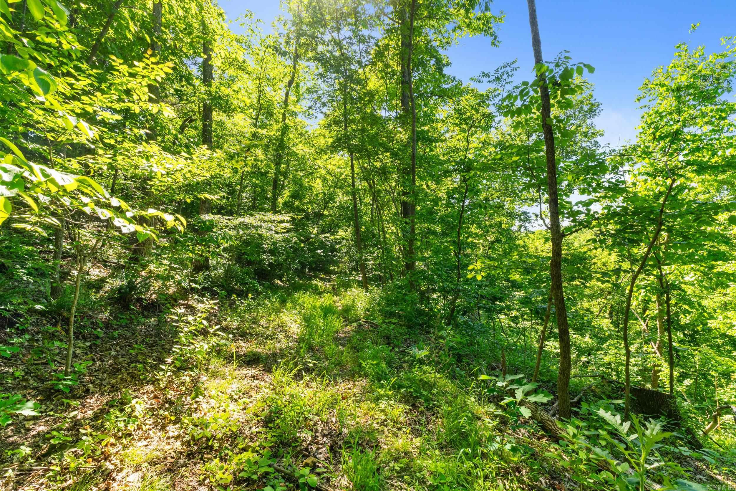 17950 E 14  Mountain View, AR