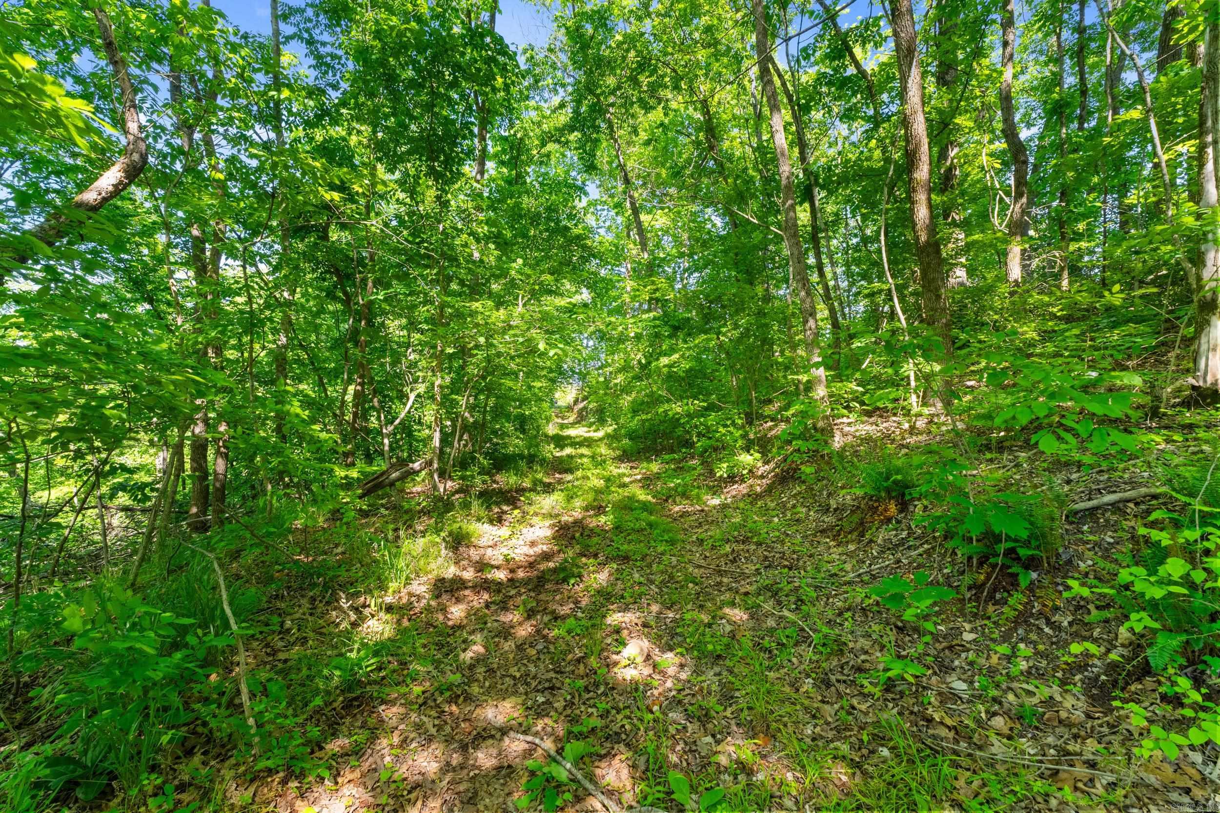 17950 E 14  Mountain View, AR