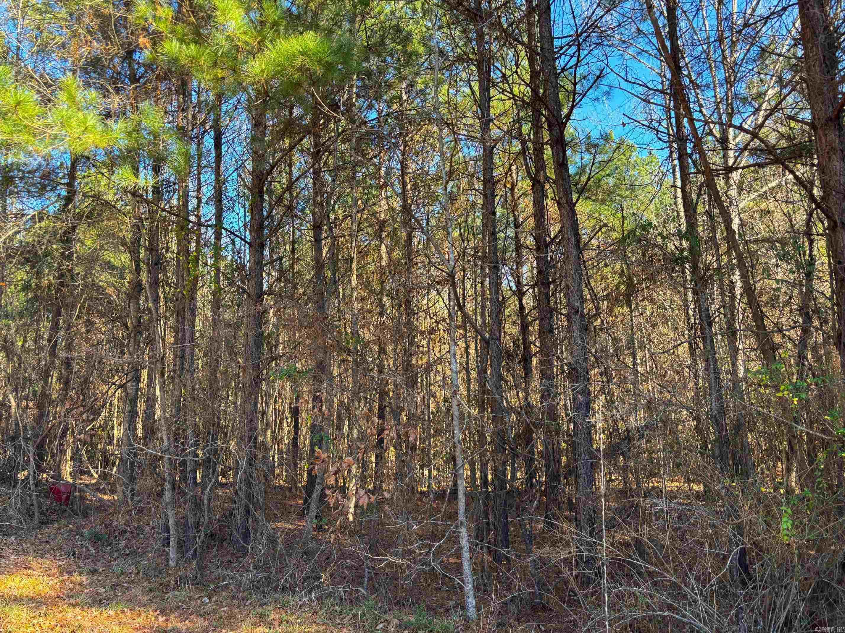 84 Grant 733  Sheridan, AR