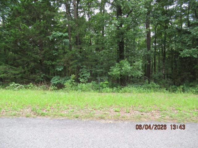 L17 B 9 Pine Grove  Fairfield Bay, AR