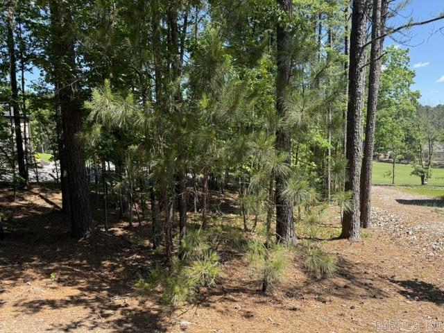 8 Piocha  Hot Springs Village, AR