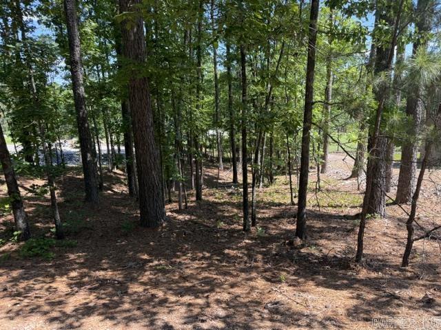 8 Piocha  Hot Springs Village, AR