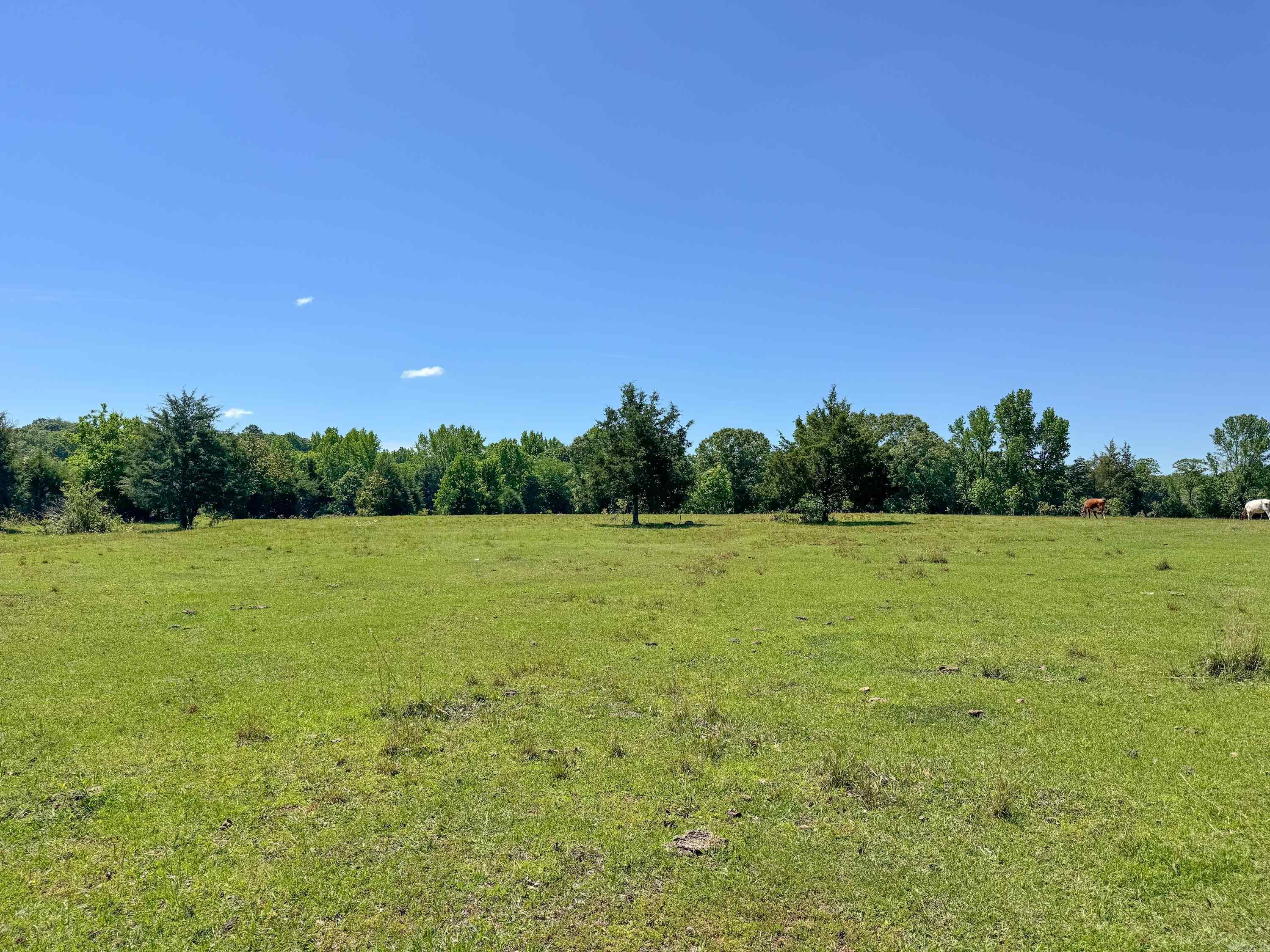 82 Herring  Quitman, AR