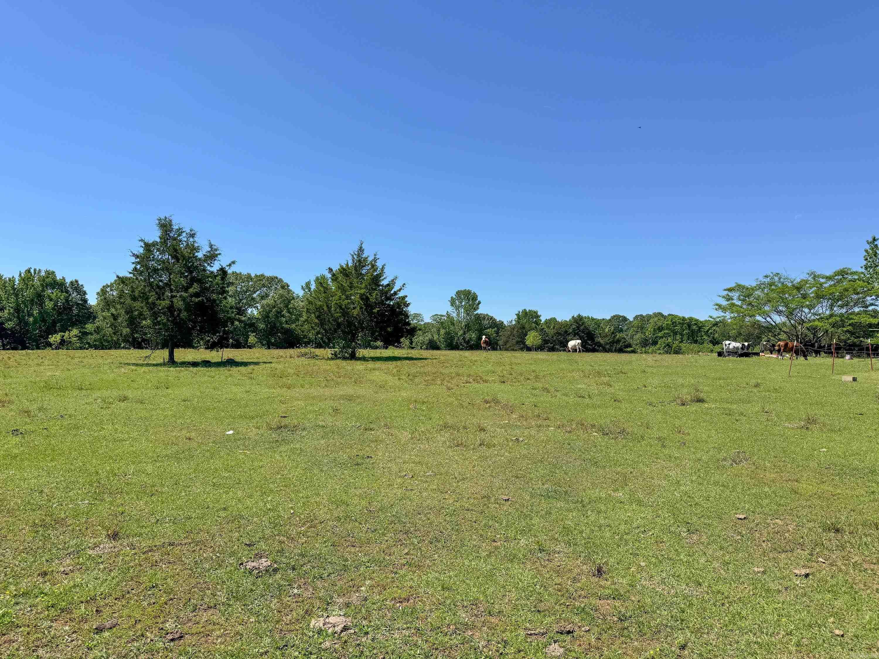 82 Herring  Quitman, AR