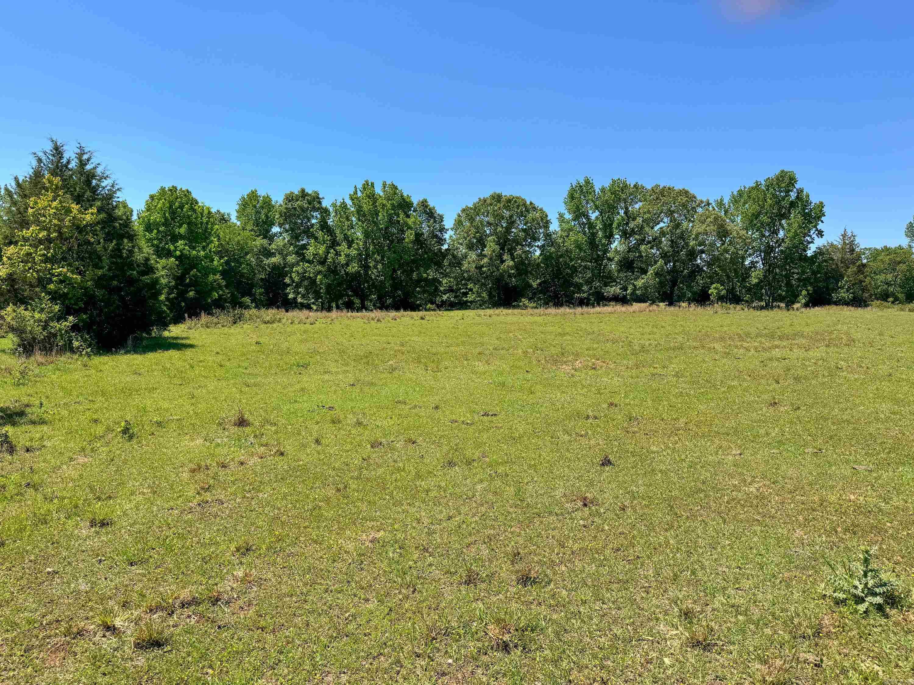82 Herring  Quitman, AR