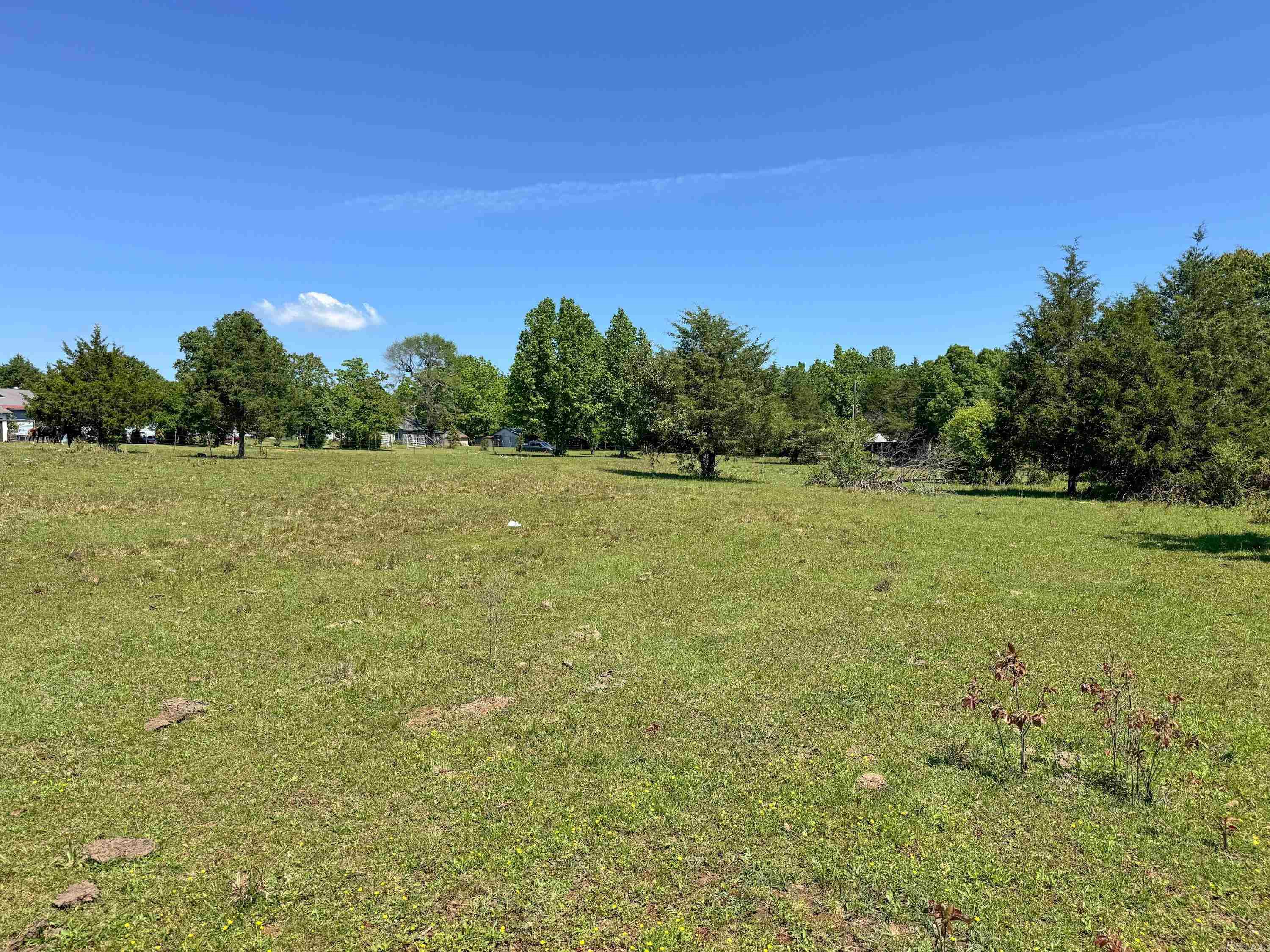 82 Herring  Quitman, AR