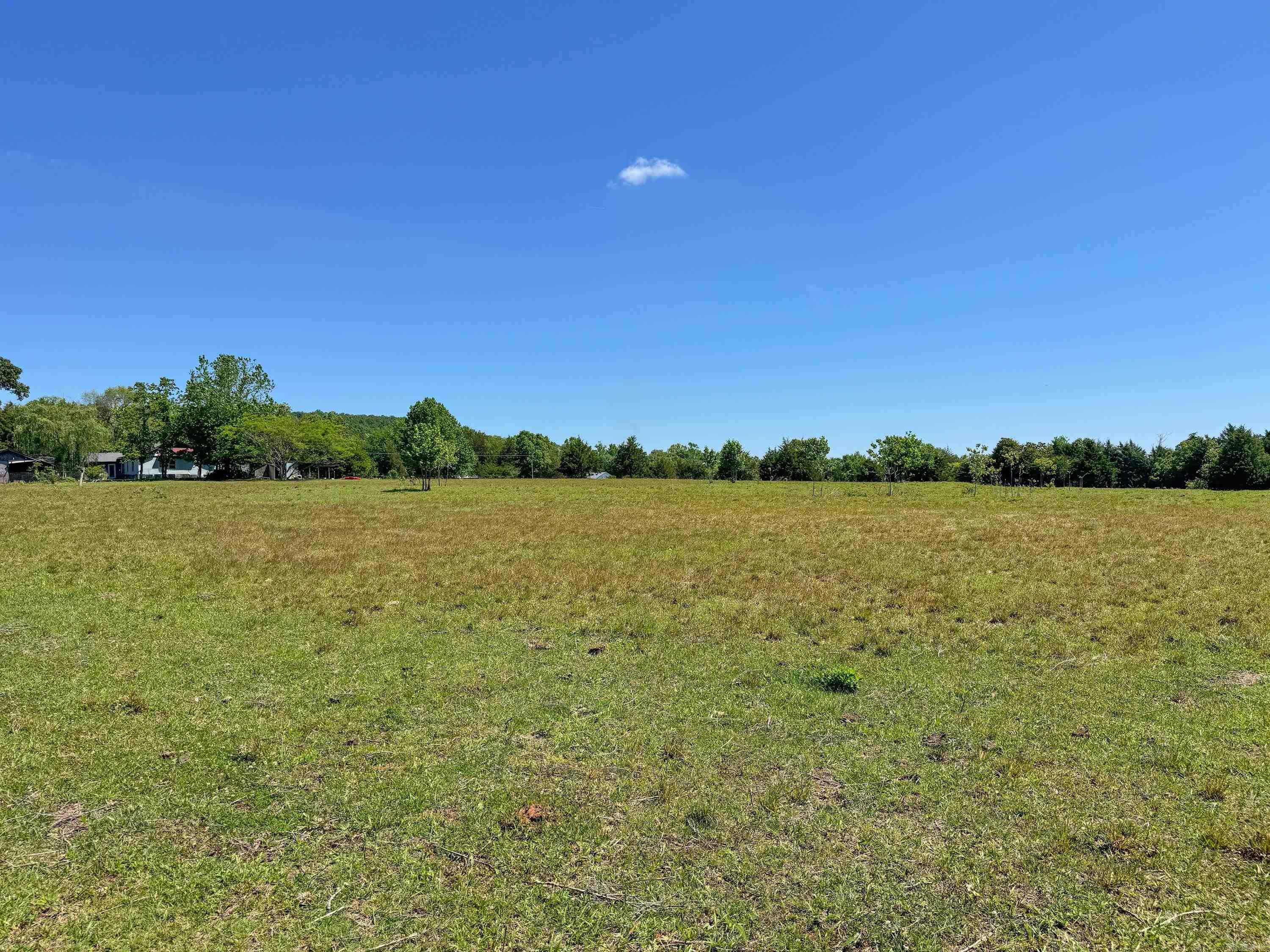 84 Herring  Quitman, AR