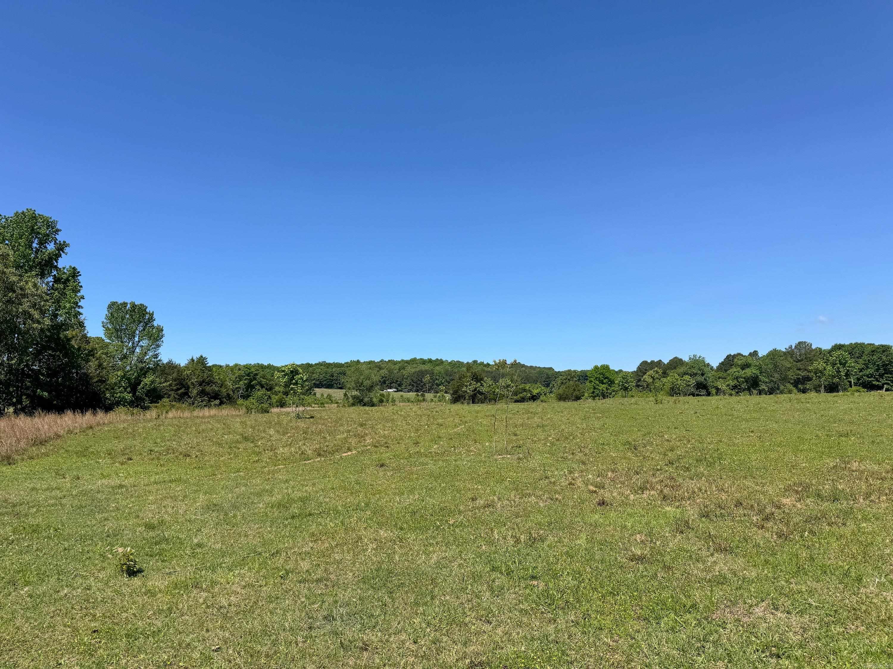 84 Herring  Quitman, AR
