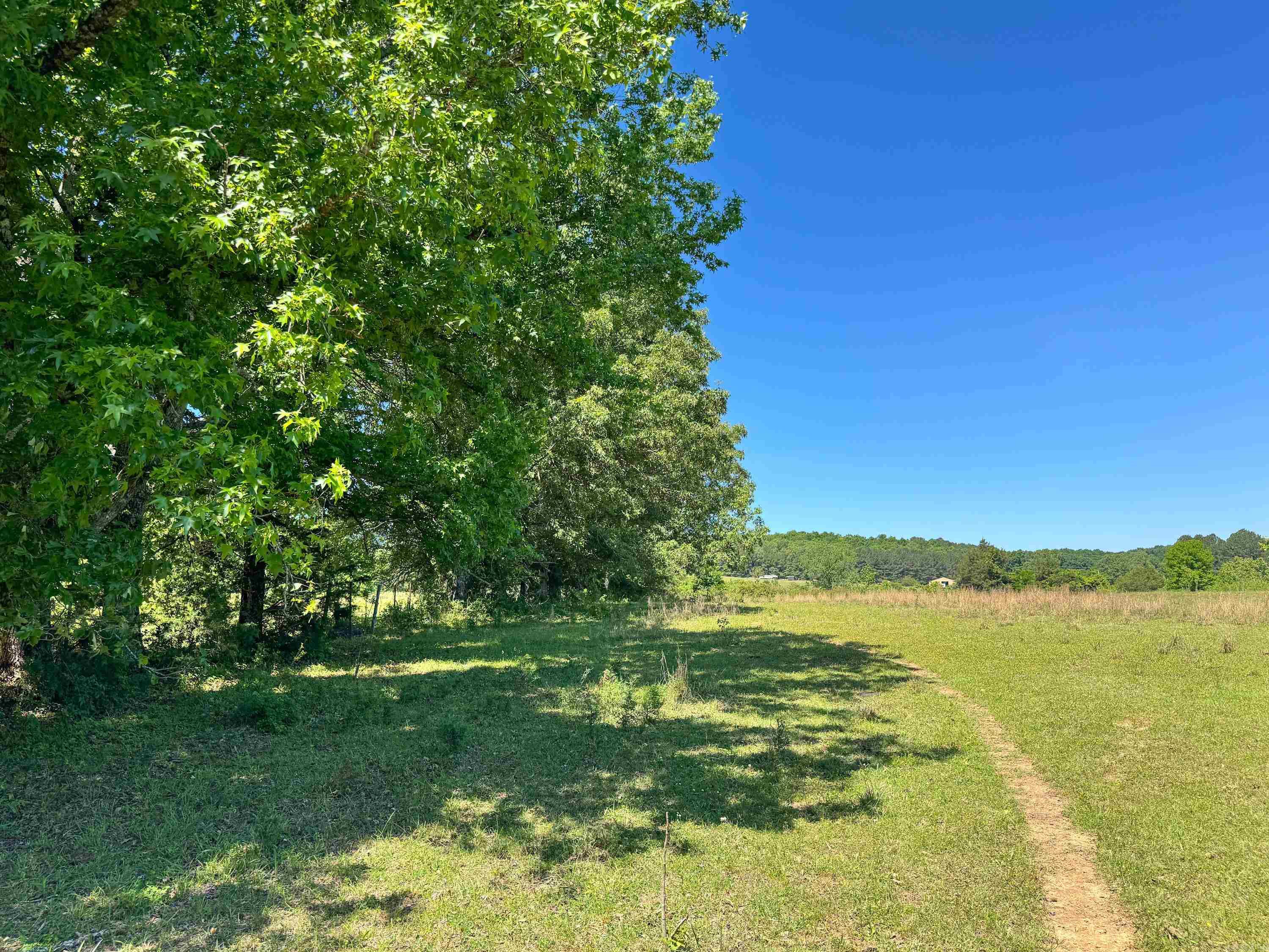 84 Herring  Quitman, AR