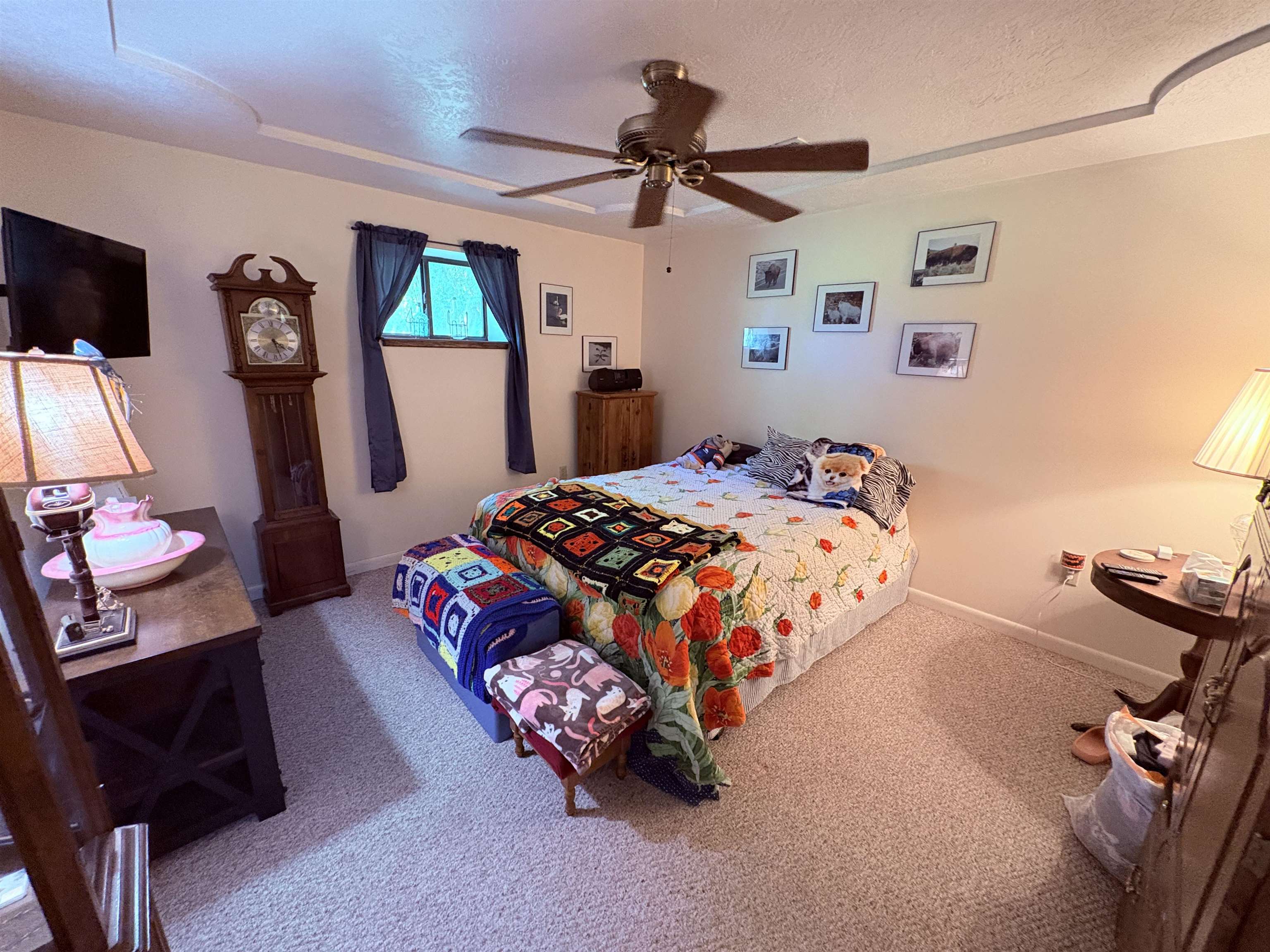 1350 Circle  Ash Flat, AR