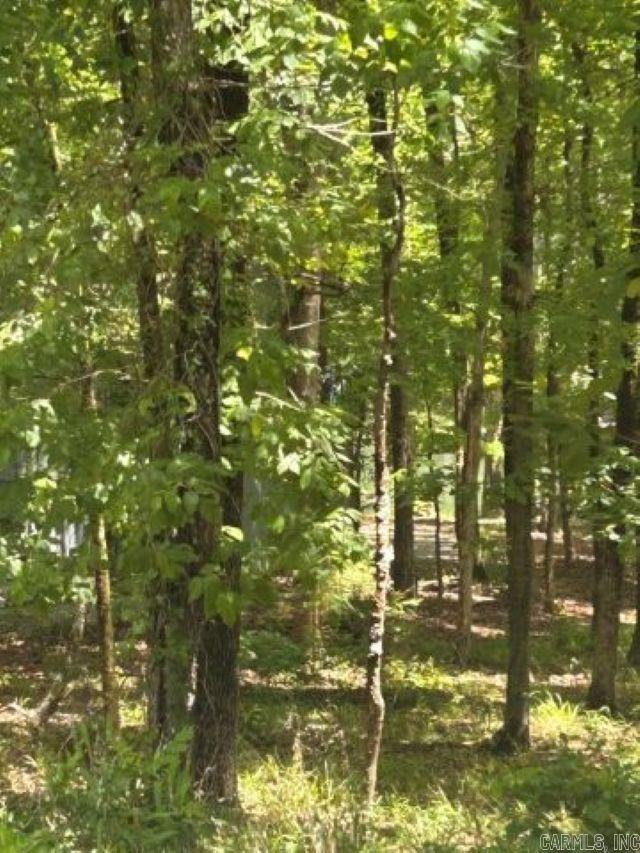 7 Sabiote  Hot Springs Village, AR