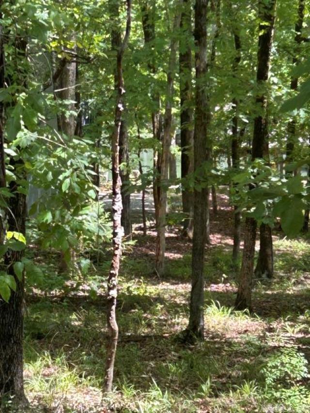 7 Sabiote  Hot Springs Village, AR