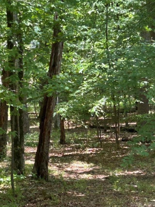 7 Sabiote  Hot Springs Village, AR