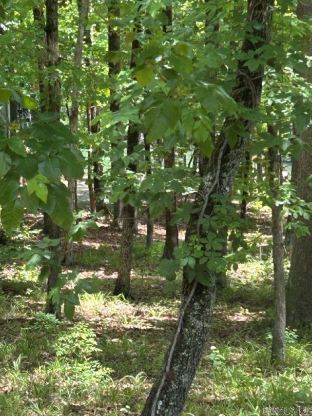 7 Sabiote  Hot Springs Village, AR