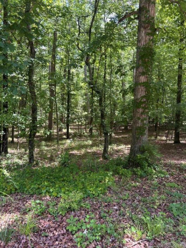 7 Sabiote  Hot Springs Village, AR