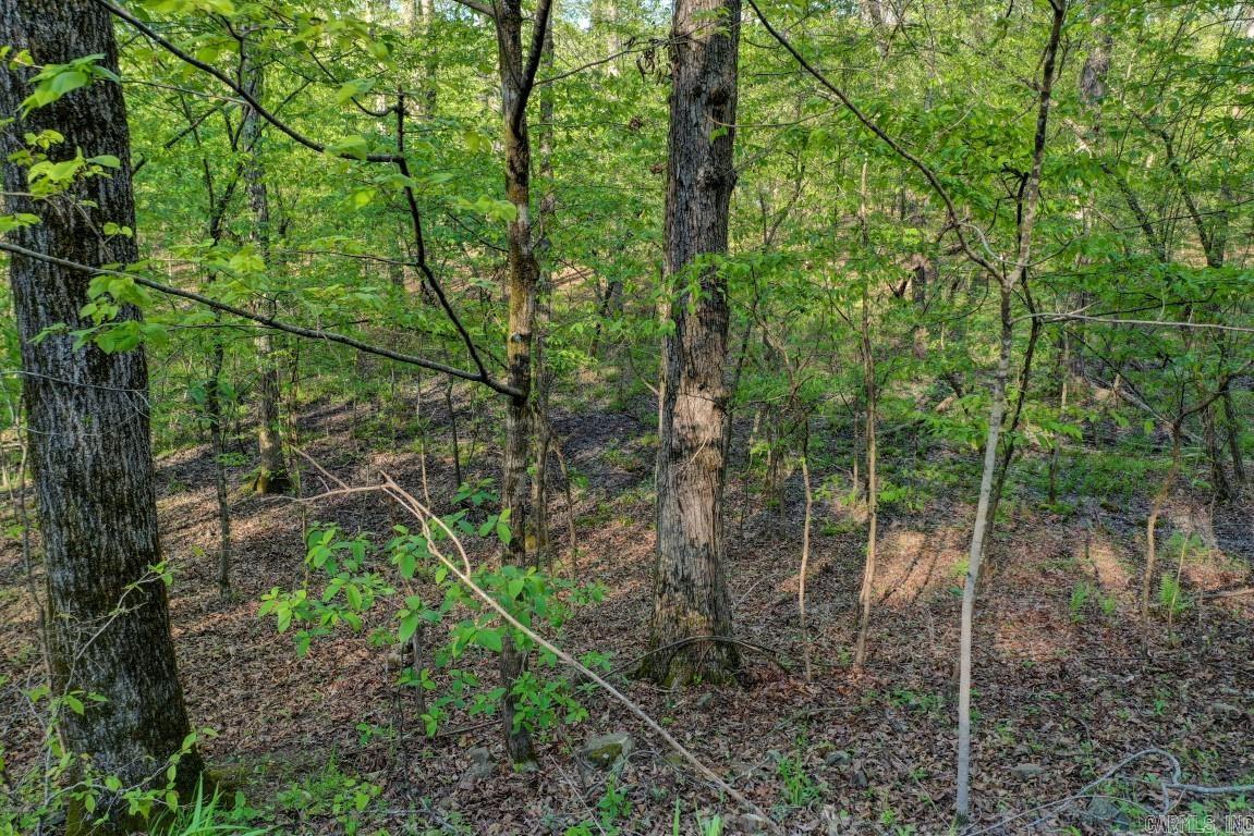 Lot 54 and 55 Tall Hickory  Hot Springs, AR