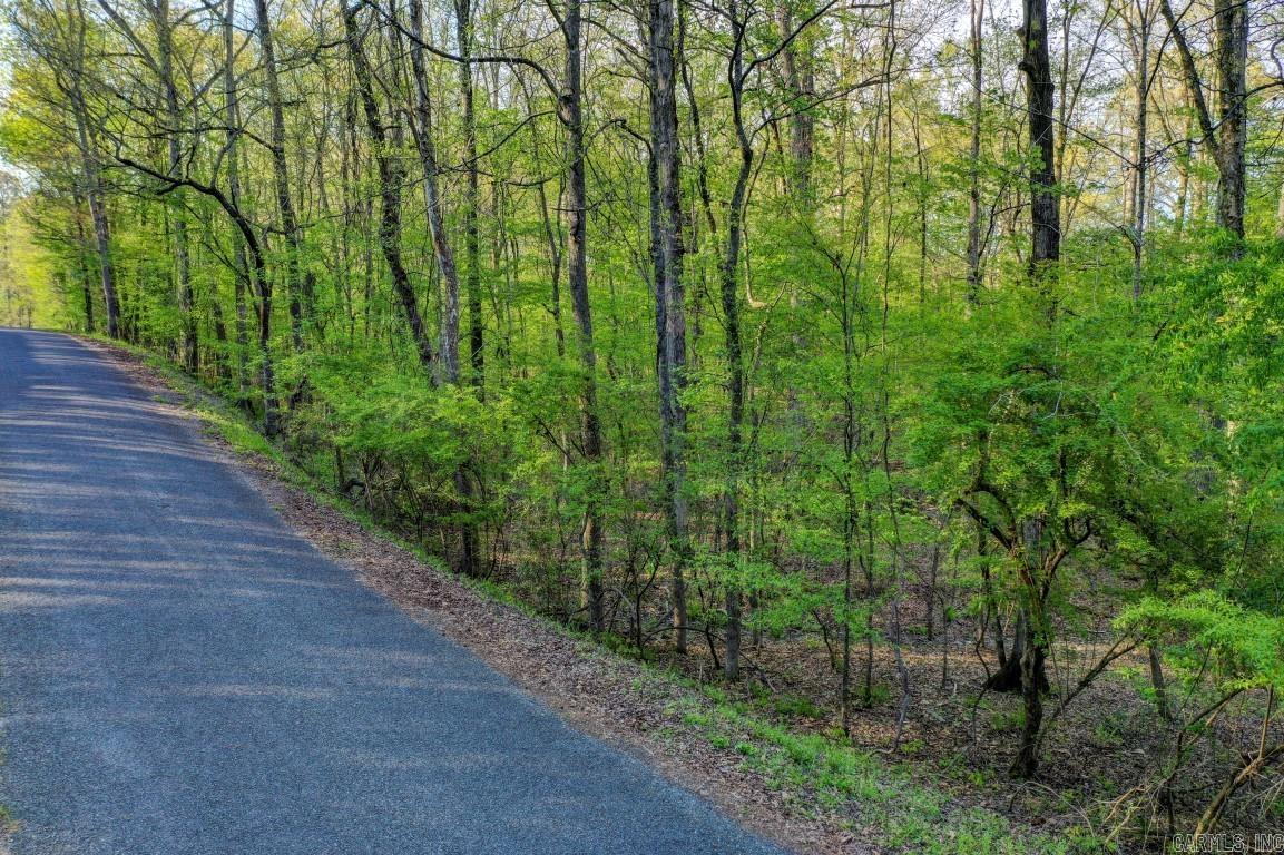 Lot 54 and 55 Tall Hickory  Hot Springs, AR