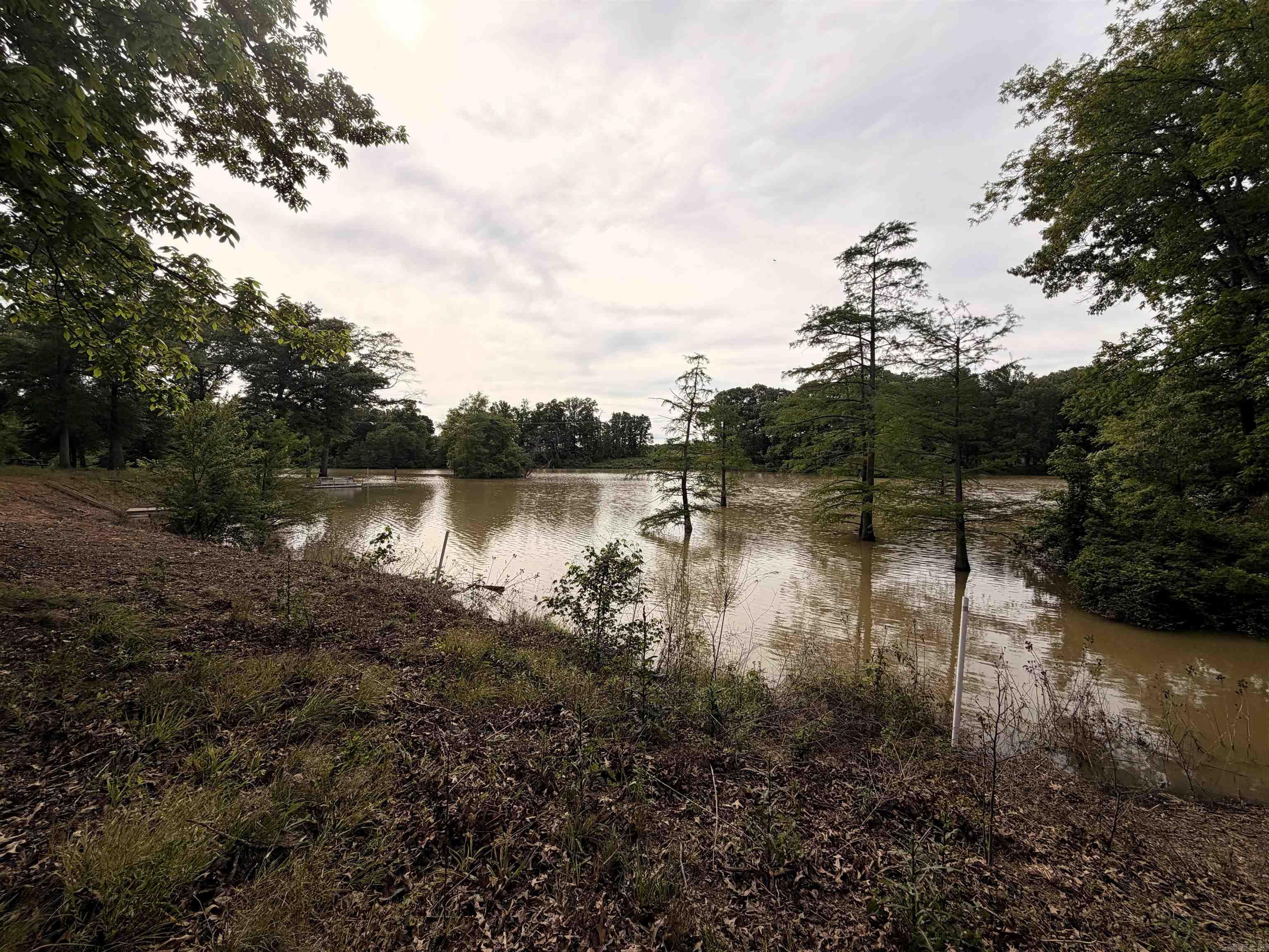 12798 Griffin  Des Arc, AR
