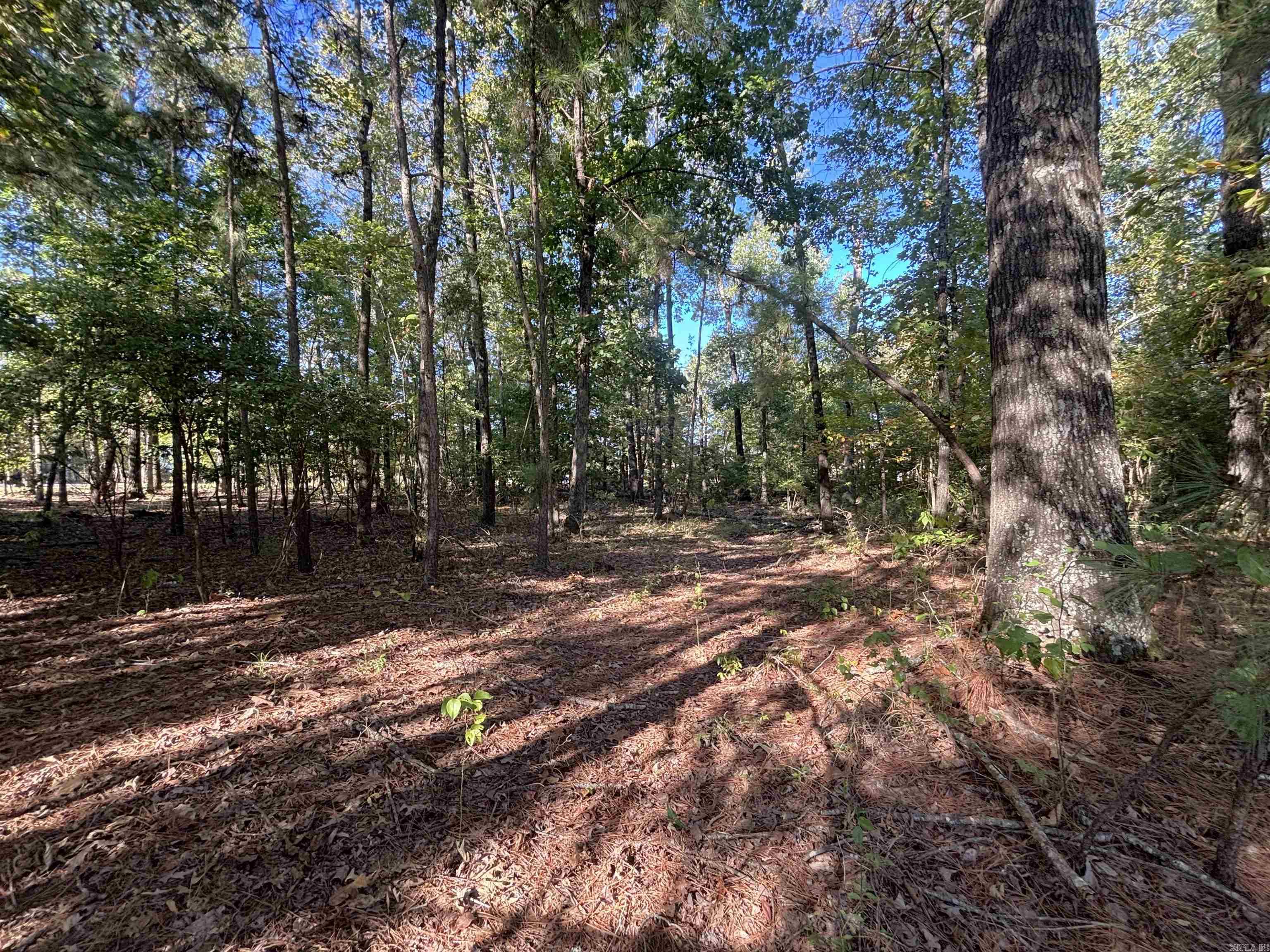 0 Freda Lane (South Lot)  Sheridan, AR