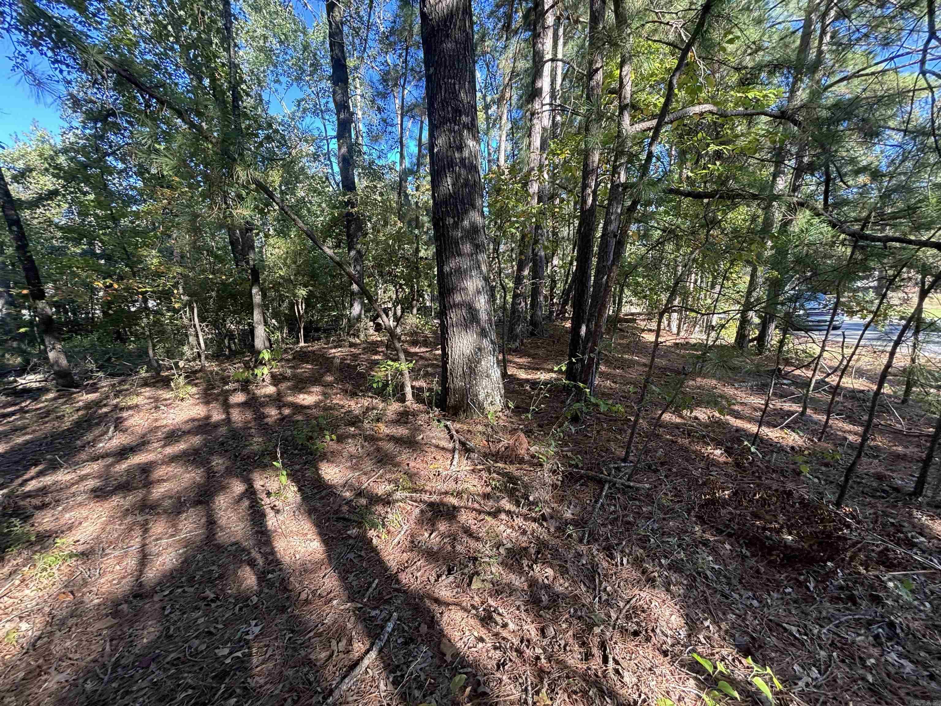 0 Freda Lane (South Lot)  Sheridan, AR