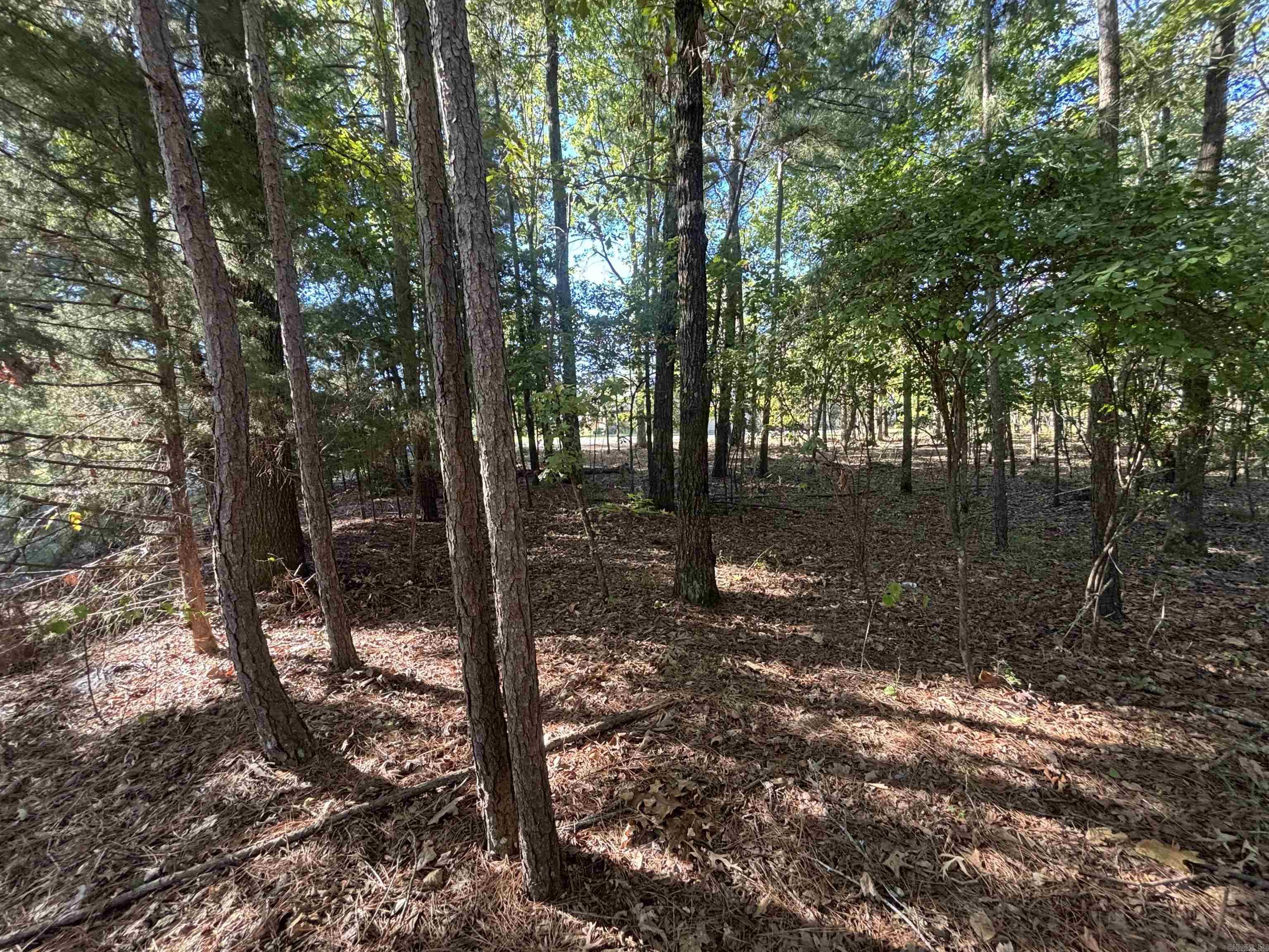 0 Freda Lane (South Lot)  Sheridan, AR